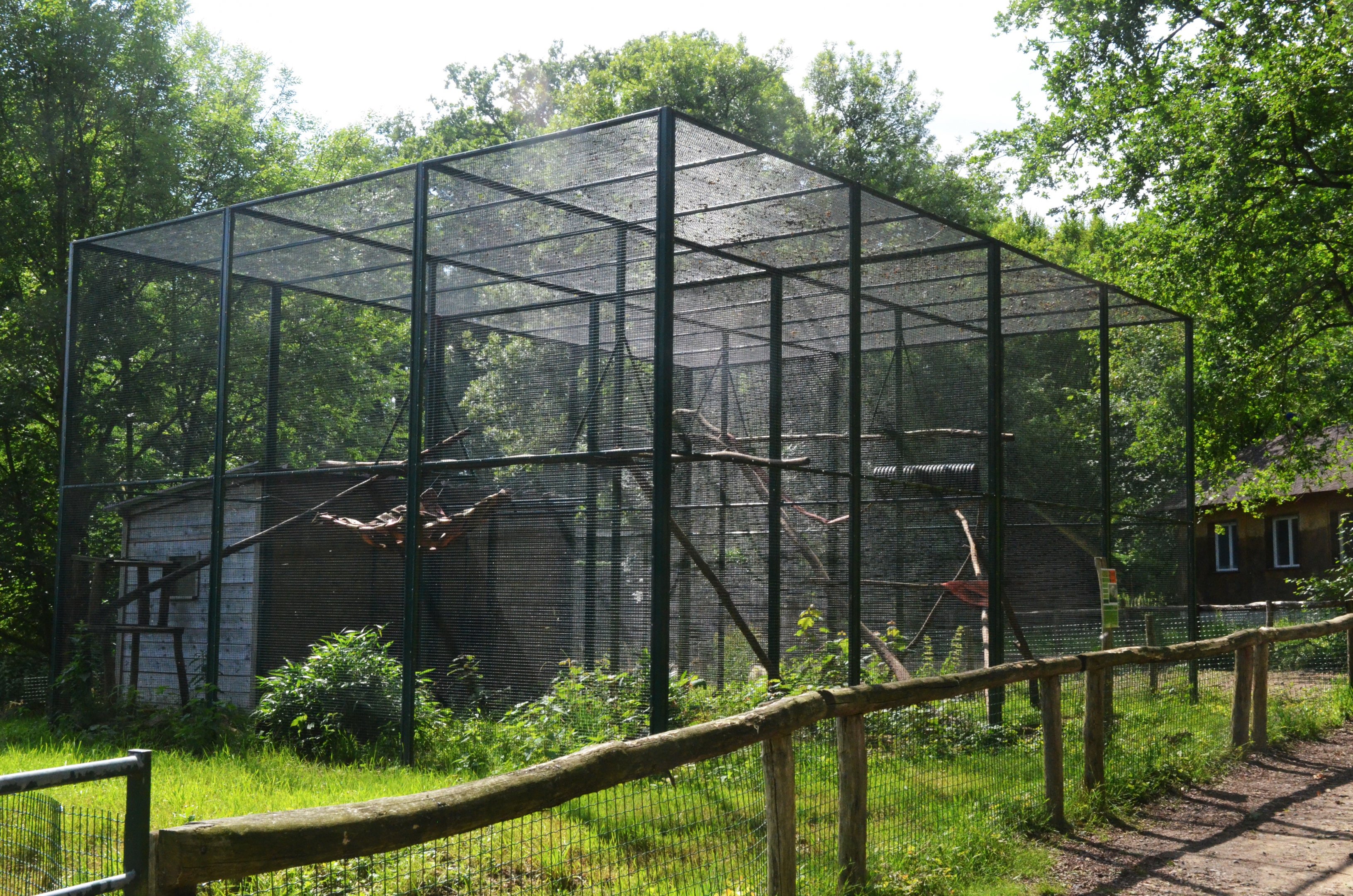 Tayra Enclosure at Pescheray, 13/06/18