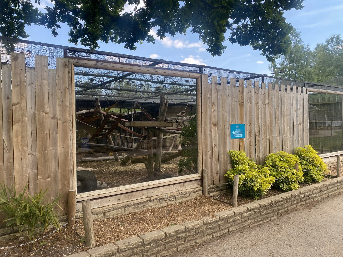 Tayra enclosure no.1 090525