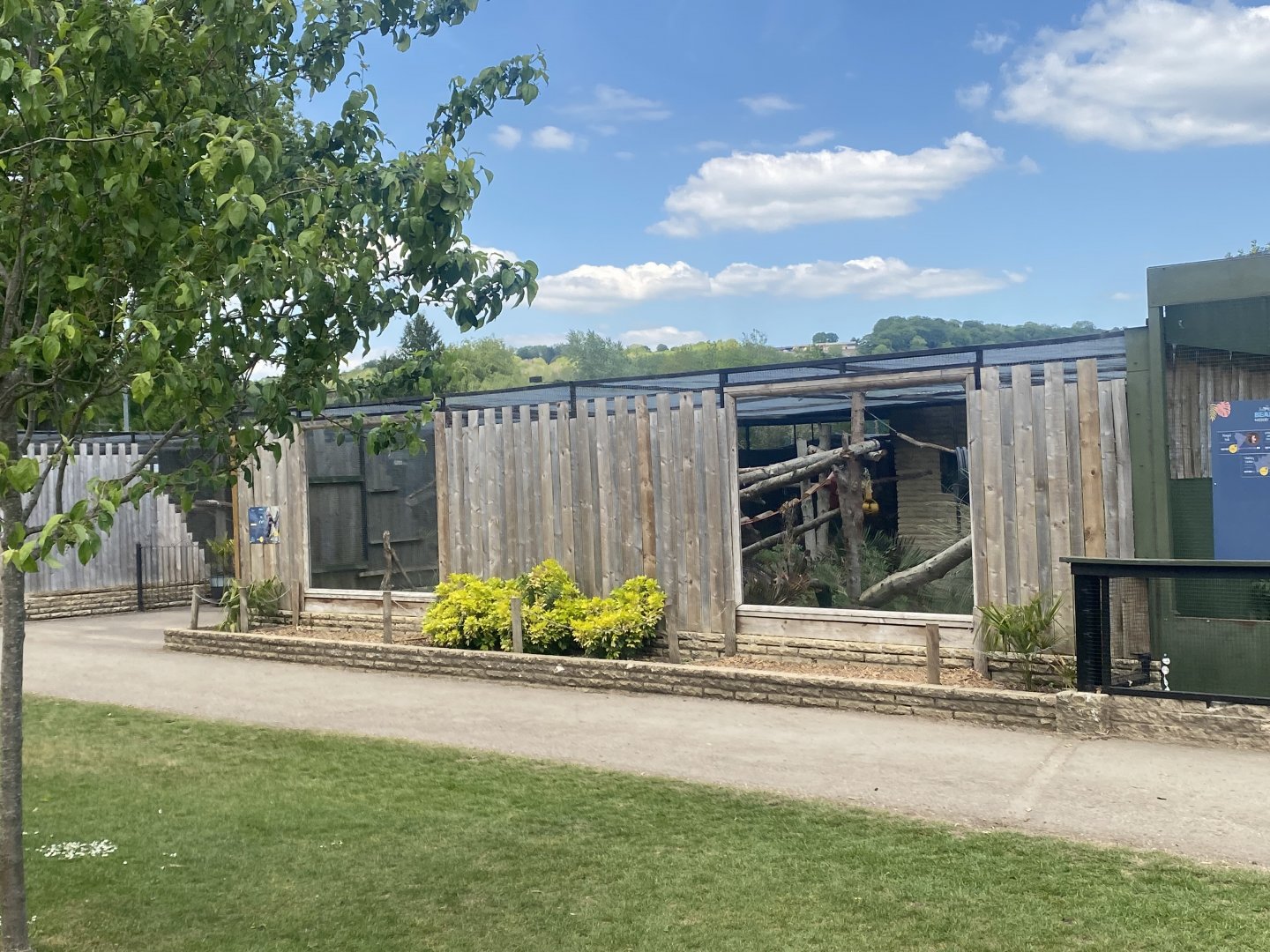 Tayra enclosure no.2 090525