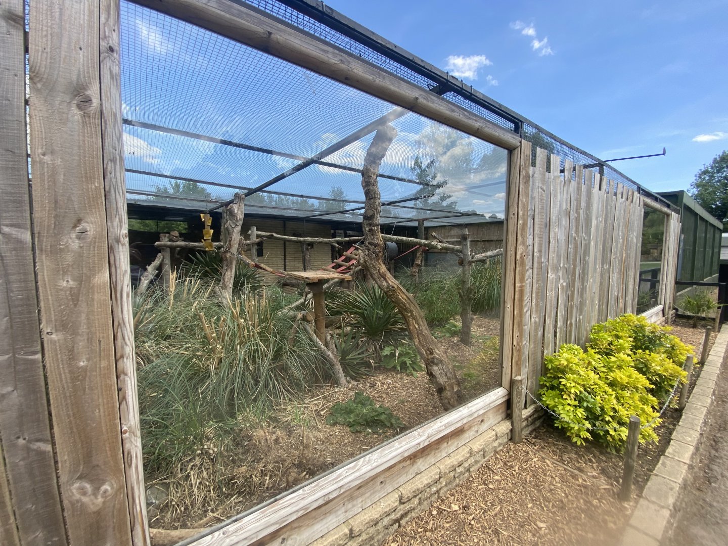 Tayra enclosure no.2 090525