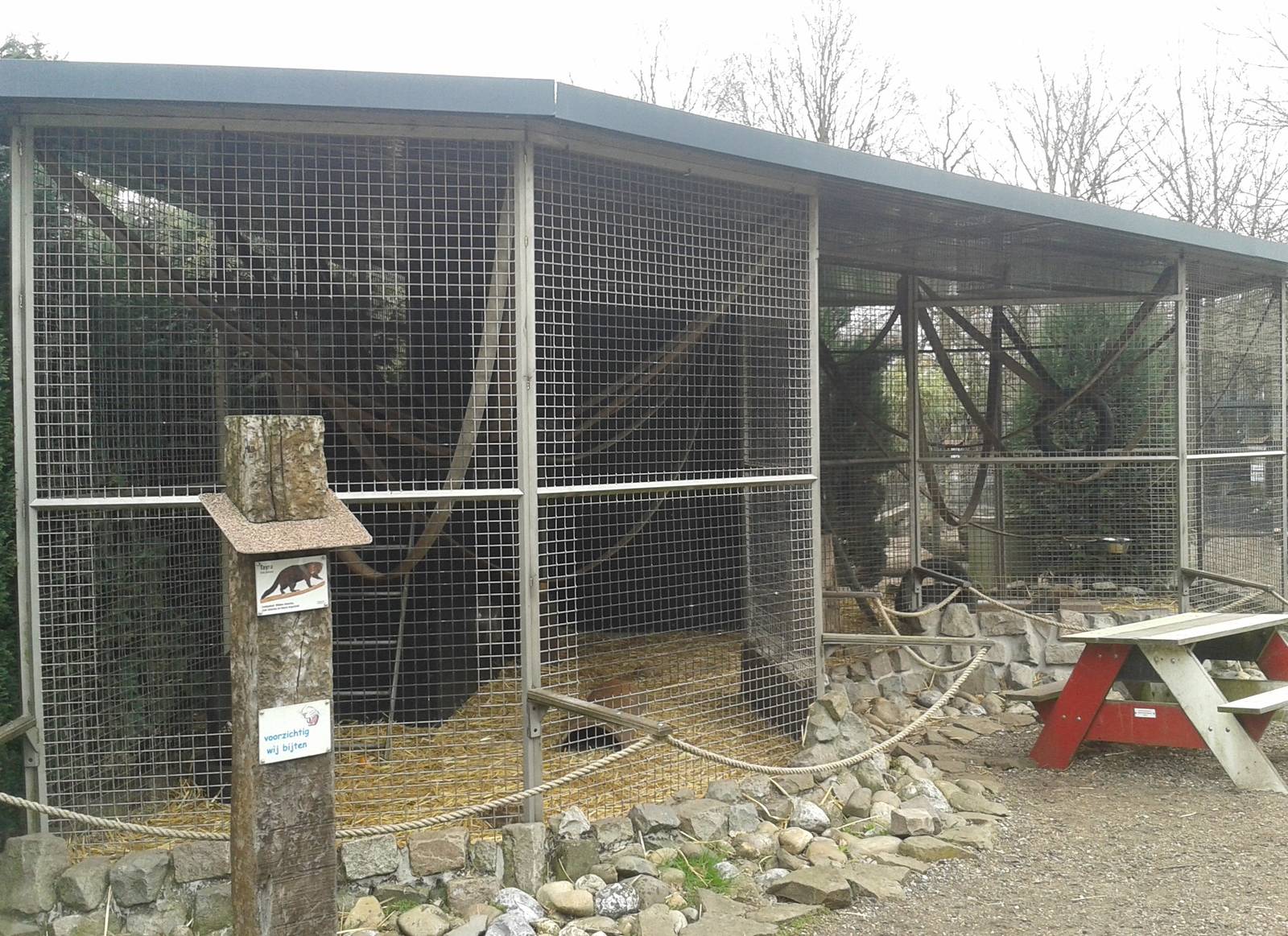 tayra enclosure