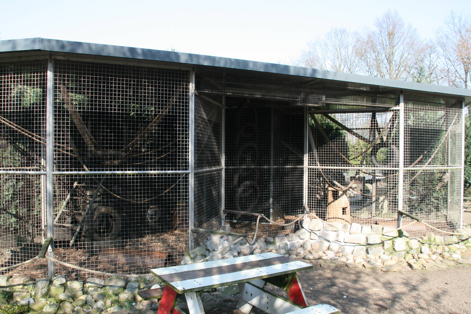 Tayra enclosure