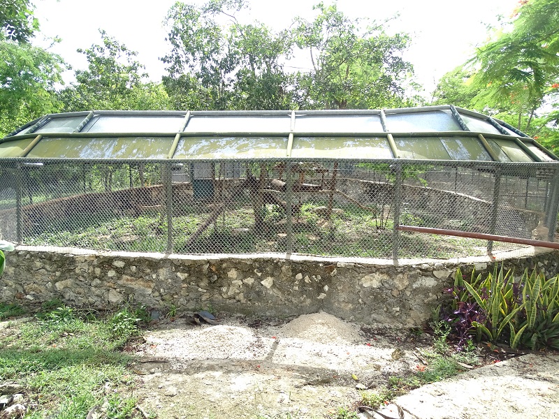 Tayra enclosure