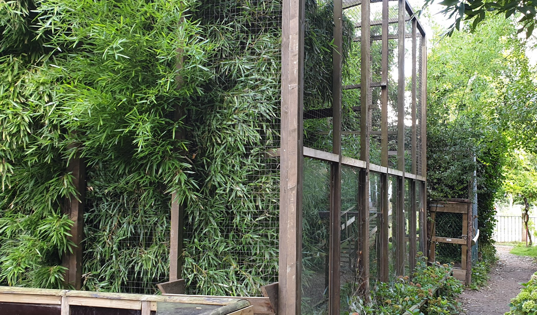 Tayra enclosure