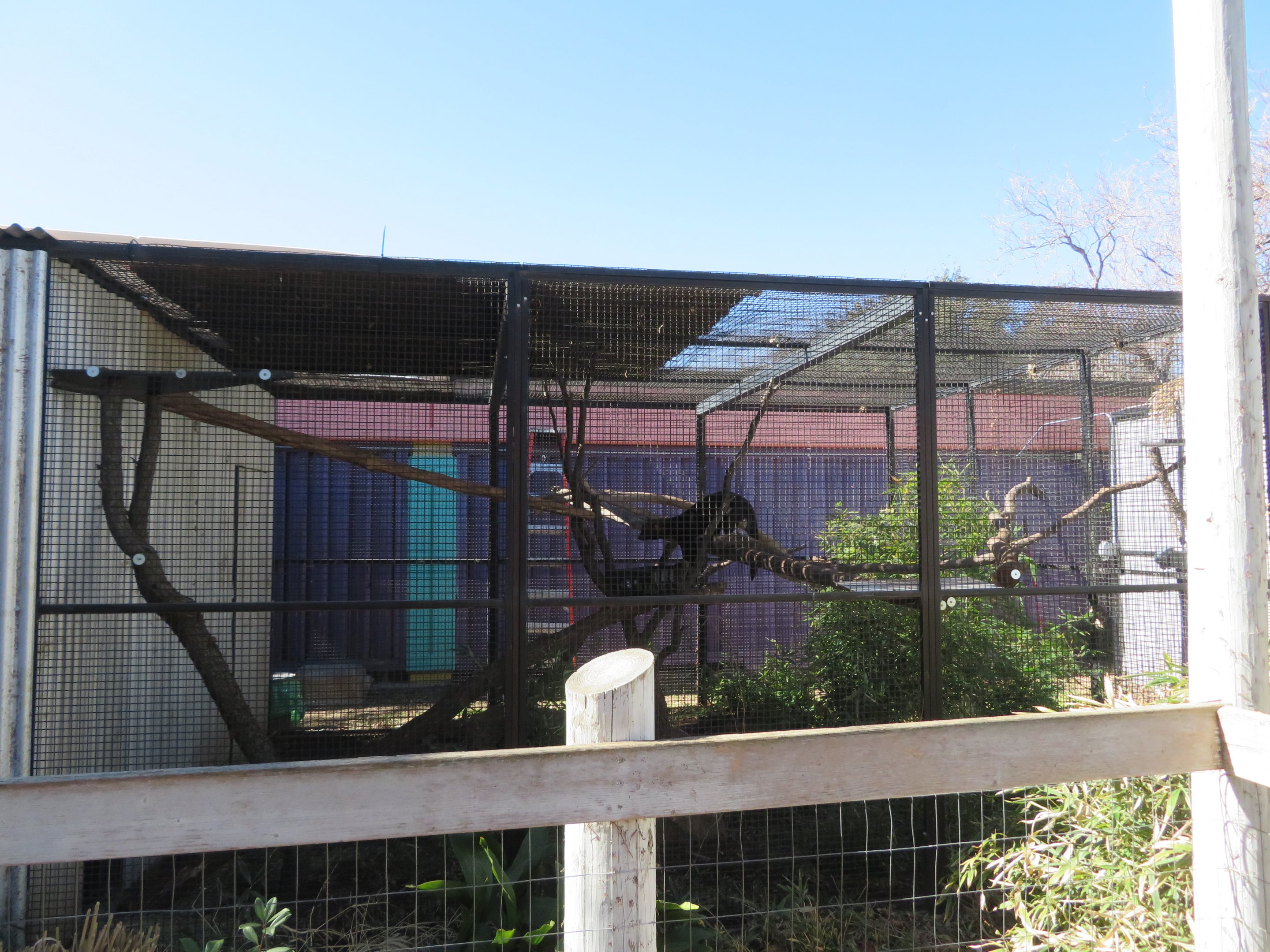 Tayra Enclosure