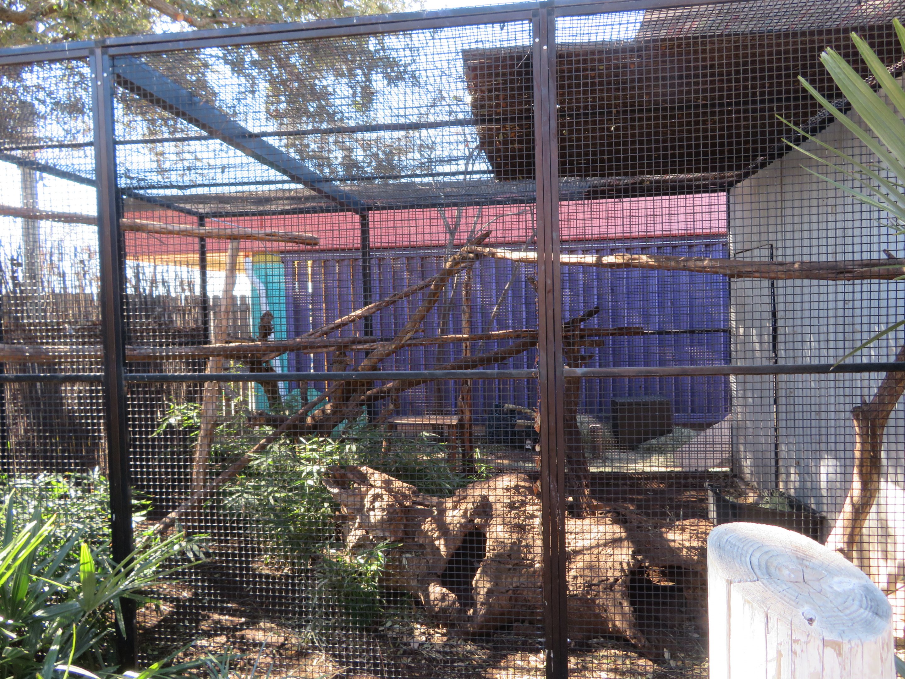 Tayra Enclosure