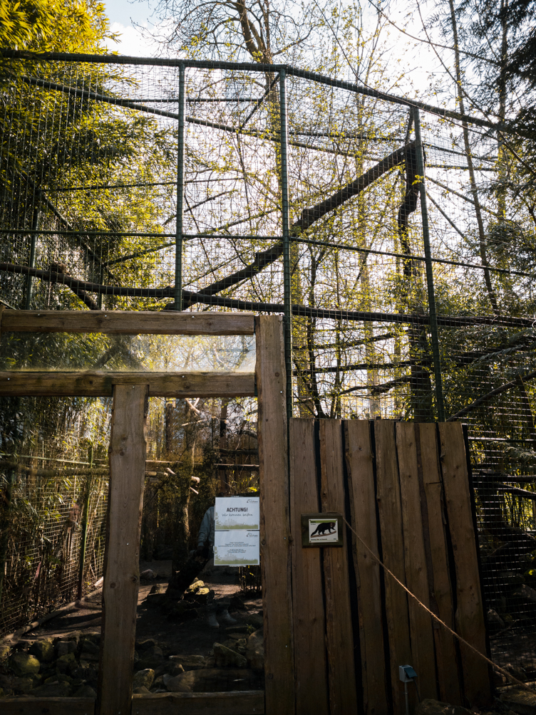 Tayra enclosure