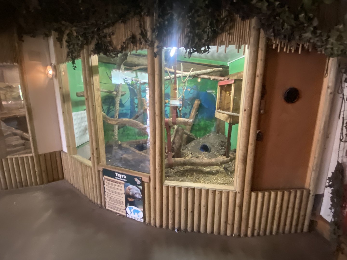 Tayra exhibit 040824