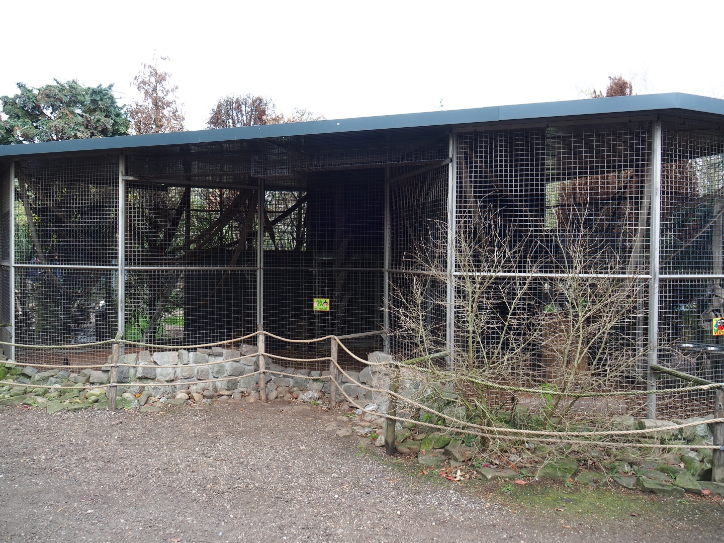 Tayra exhibit, 2019-04-06