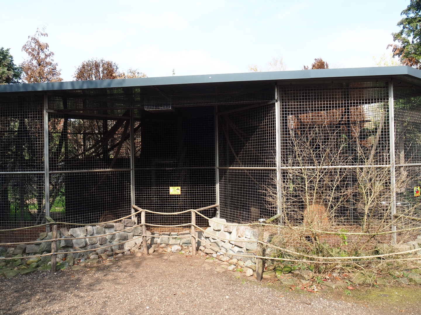 Tayra exhibit, 2019-04-06