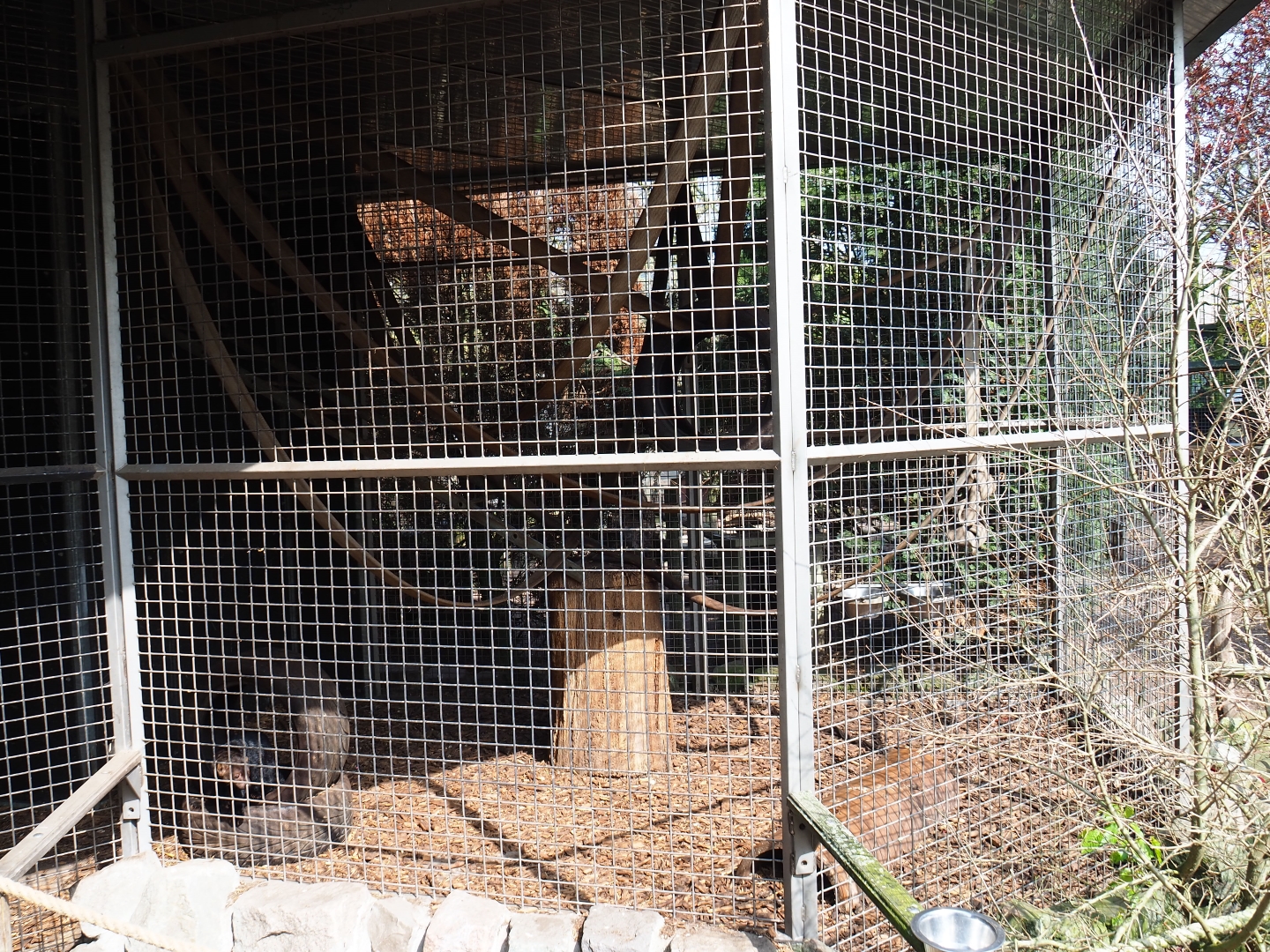 Tayra exhibit, 2019-04-06