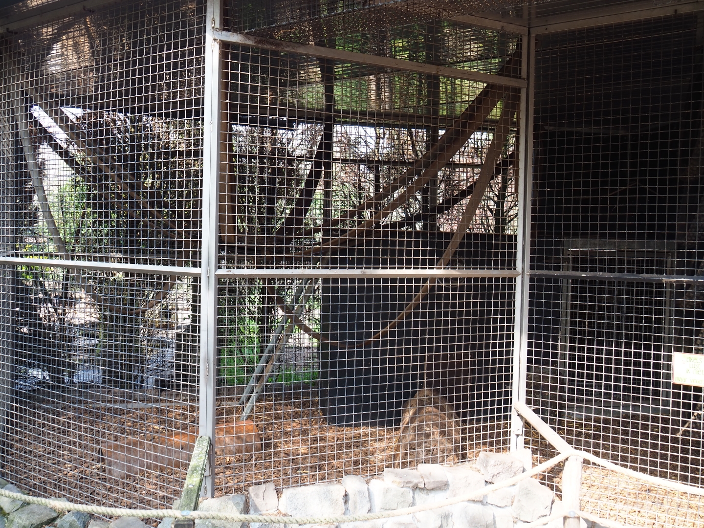 Tayra exhibit, 2019-04-06