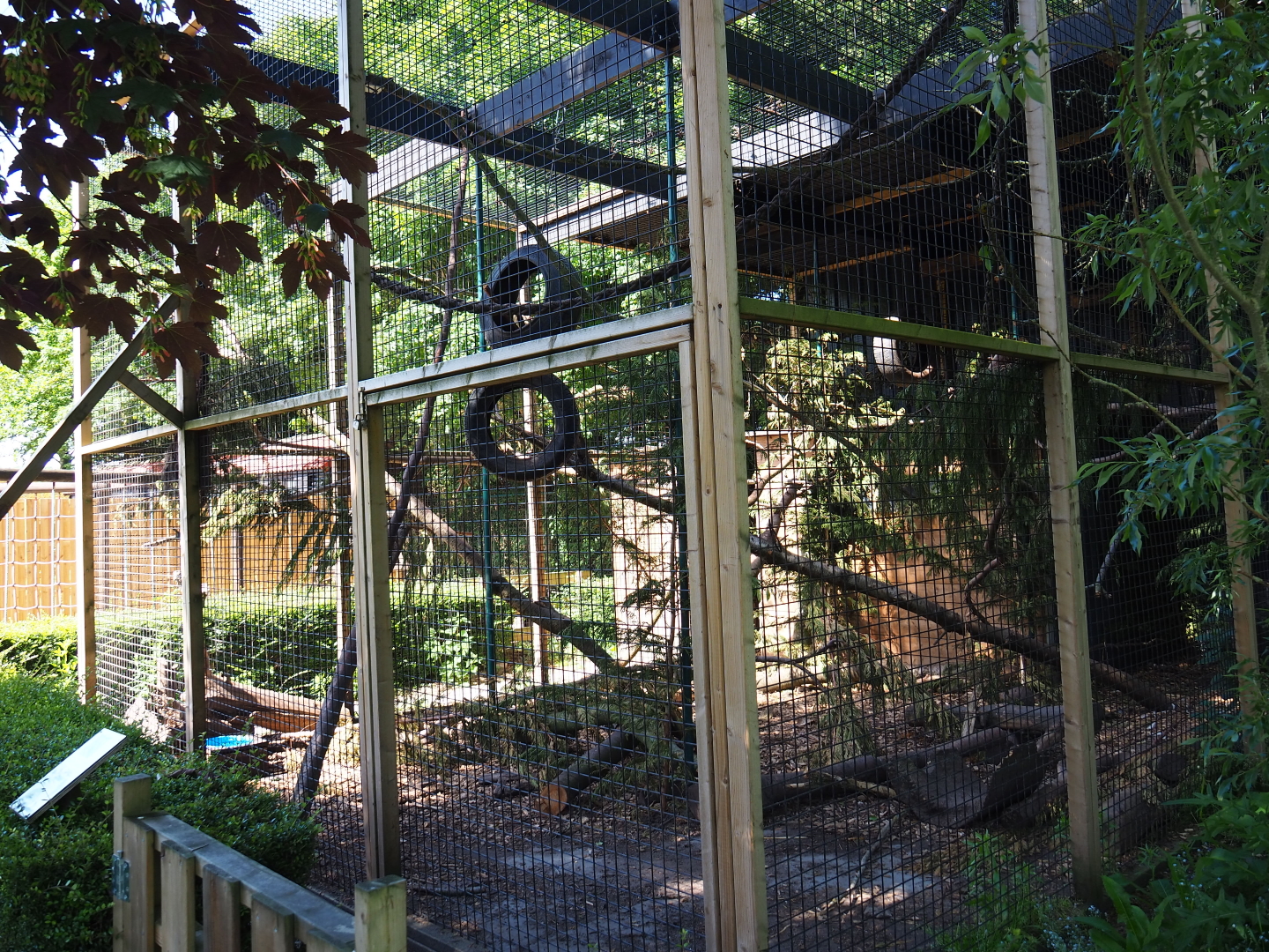 Tayra exhibit, 2019-06-01