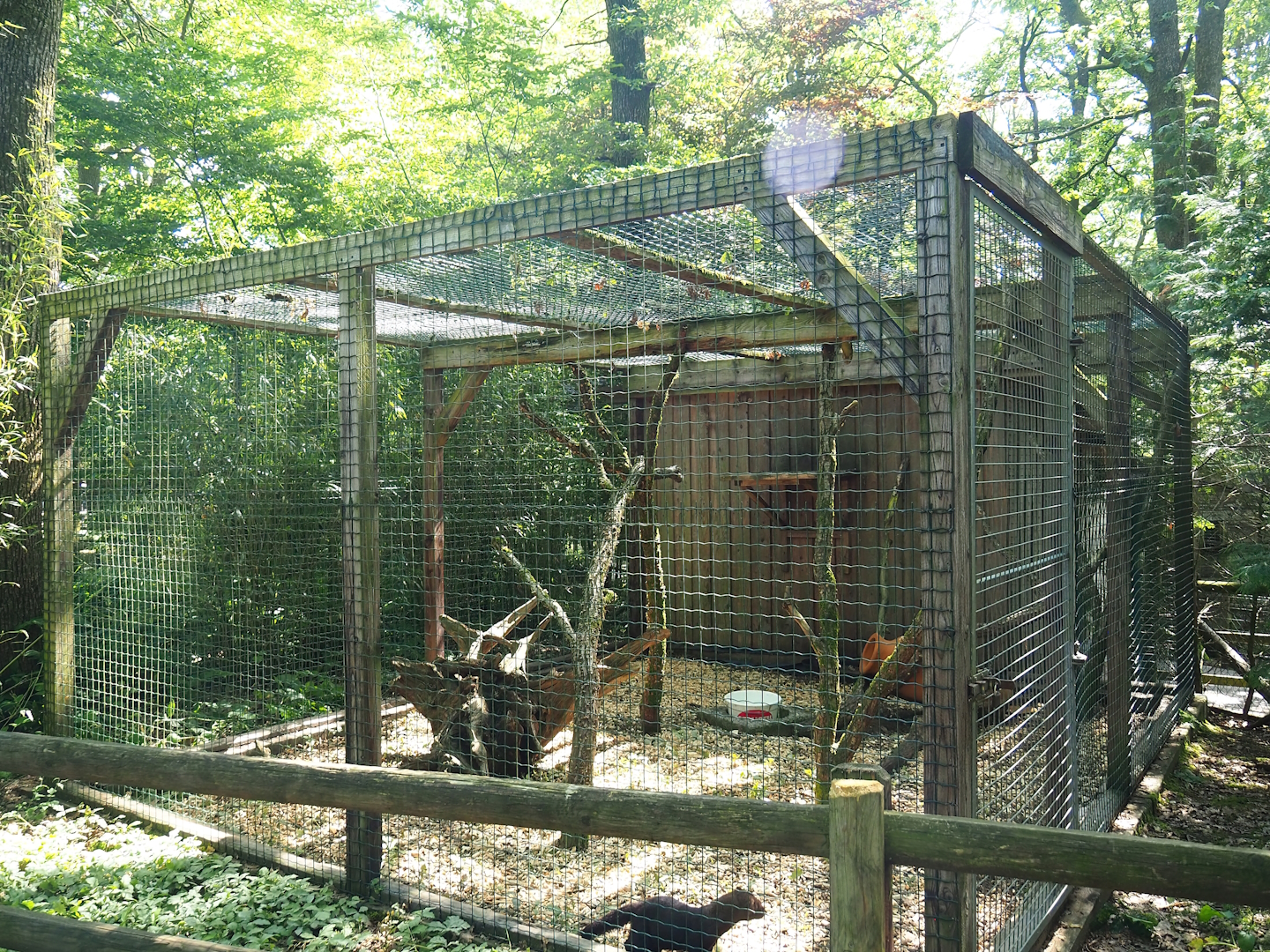 Tayra exhibit, 2023-06-24