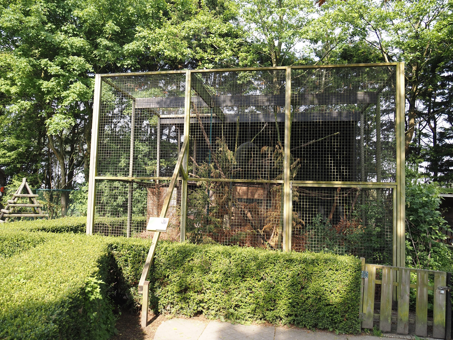 Tayra exhibit, 2024-05-11