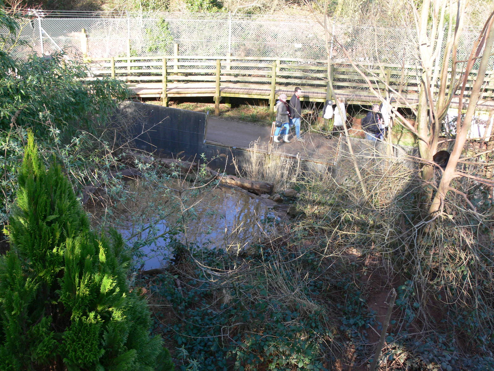 Tayra exhibit at South Lakes, 16/02/14