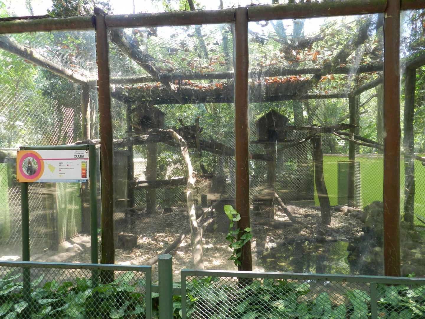 Tayra exhibit - Campinas zoo (BDJ)