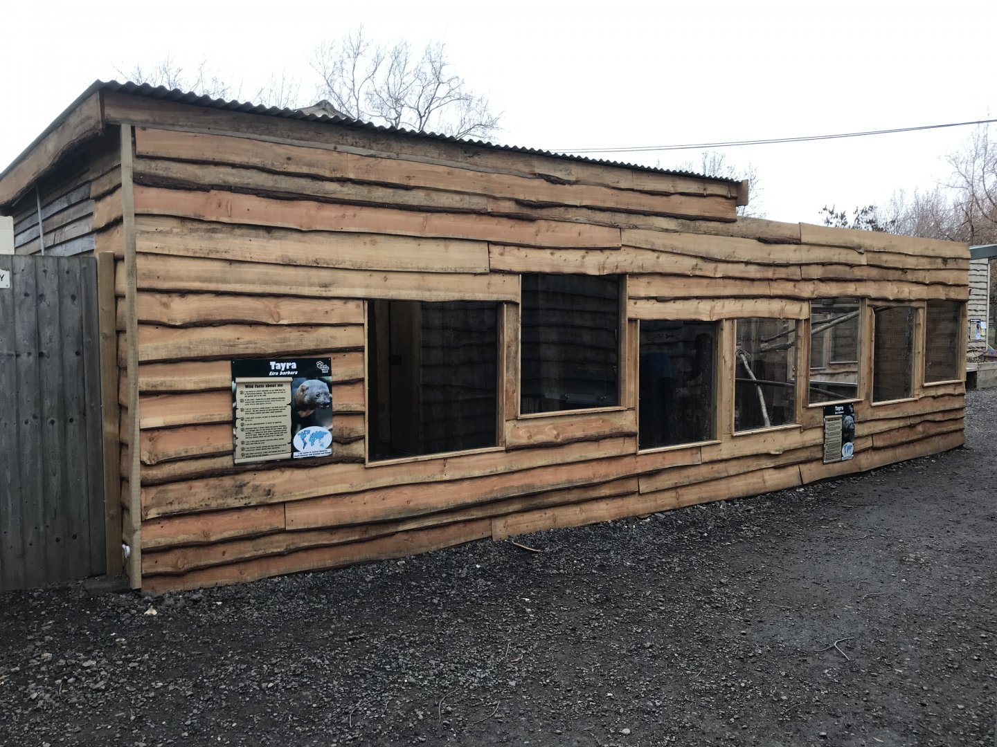 Tayra exhibit no.1 241118