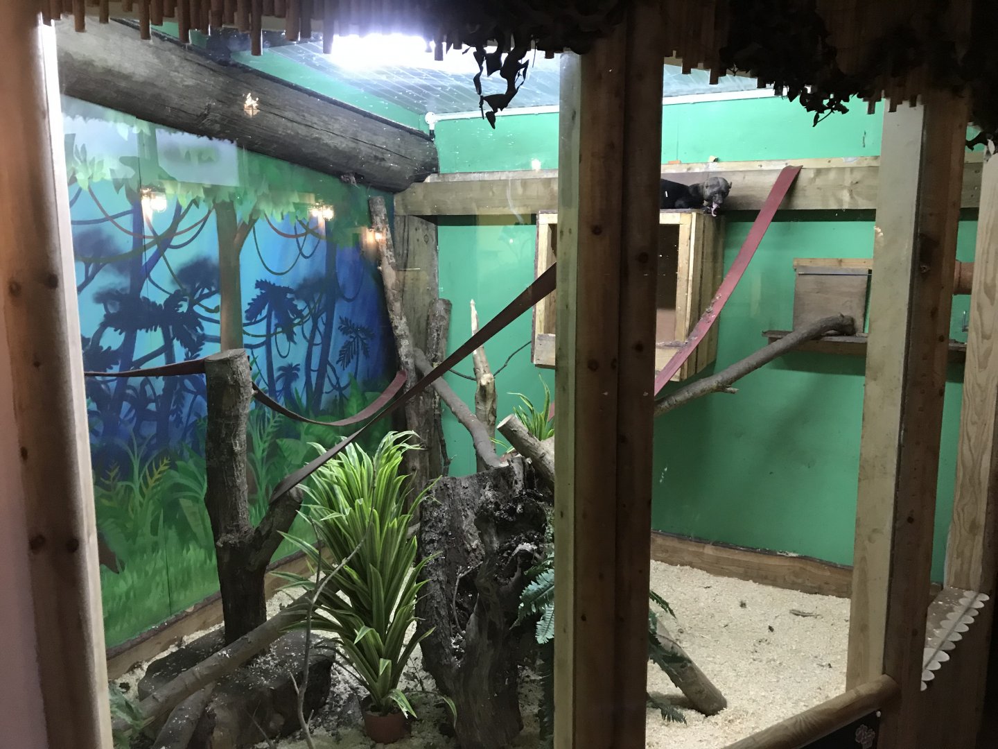 Tayra exhibit no.3 241118