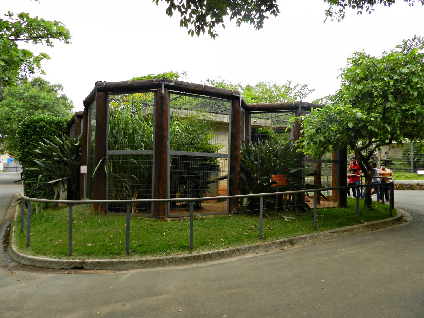 Tayra exhibit - Sorocaba zoo (PZMQB)