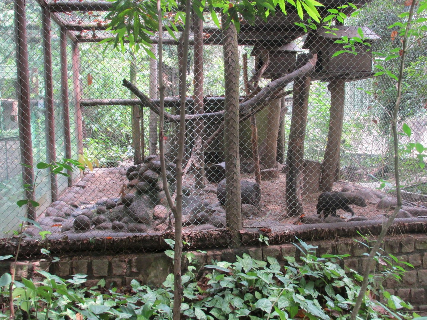 tayra exhibit