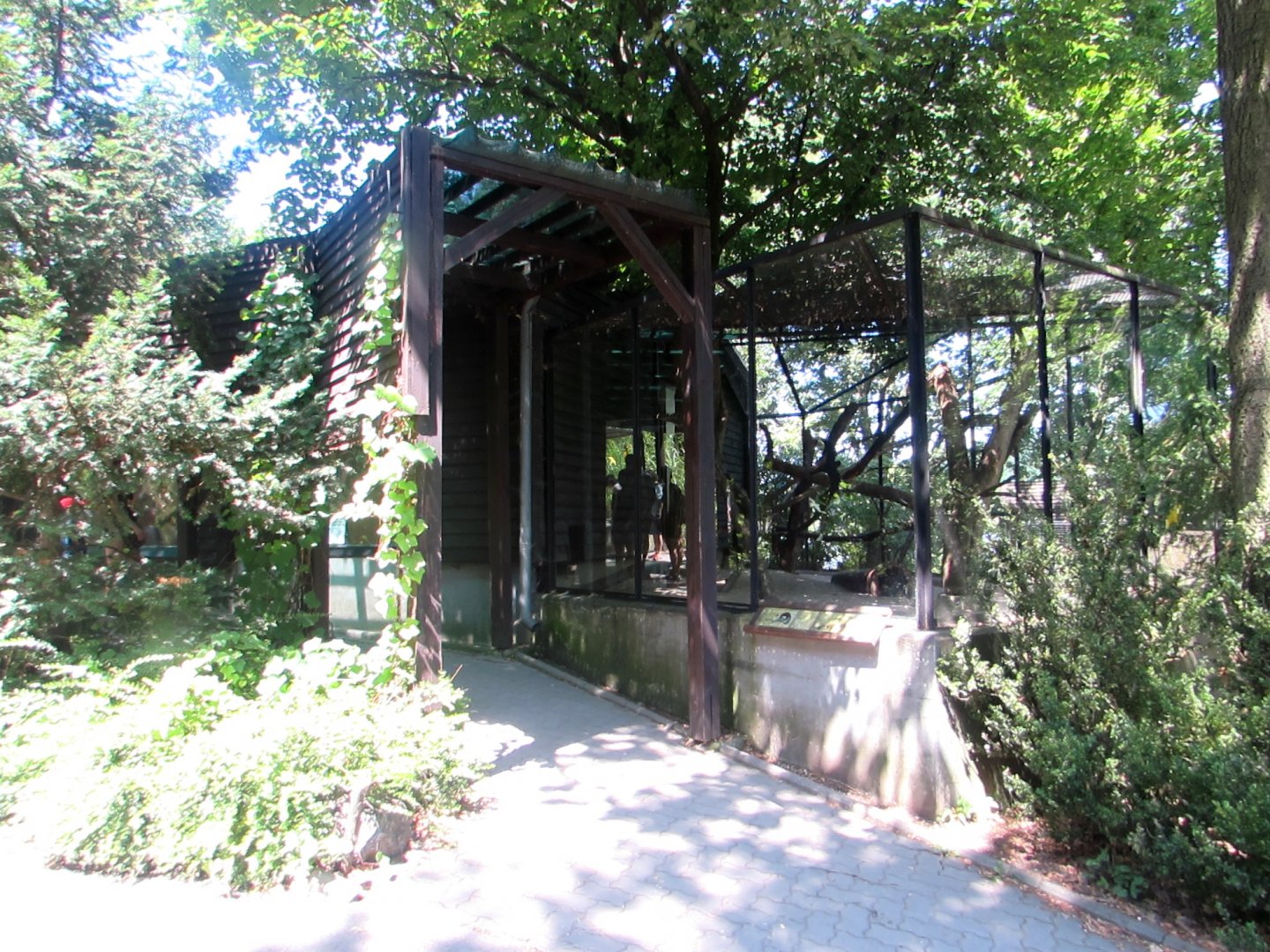 Tayra exhibition - July/2017