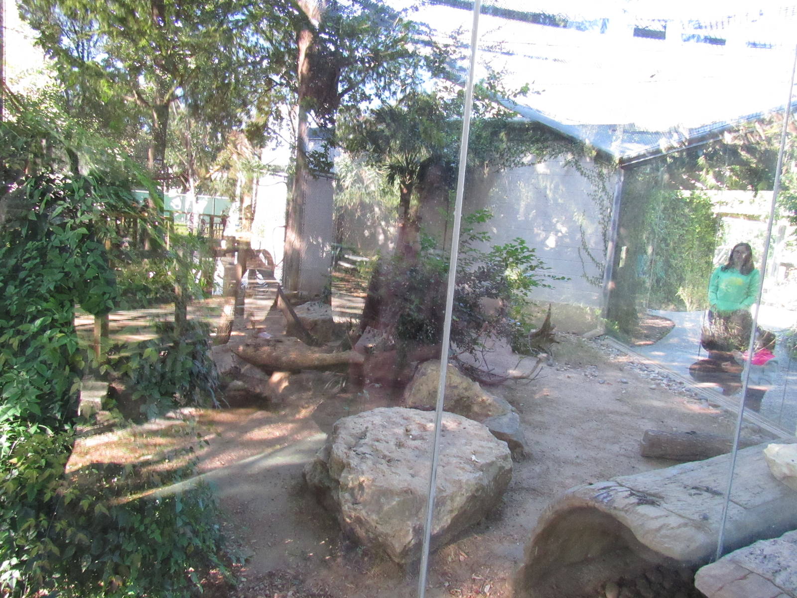 Tayra Habitat in Tiny Tot Nature Spot
