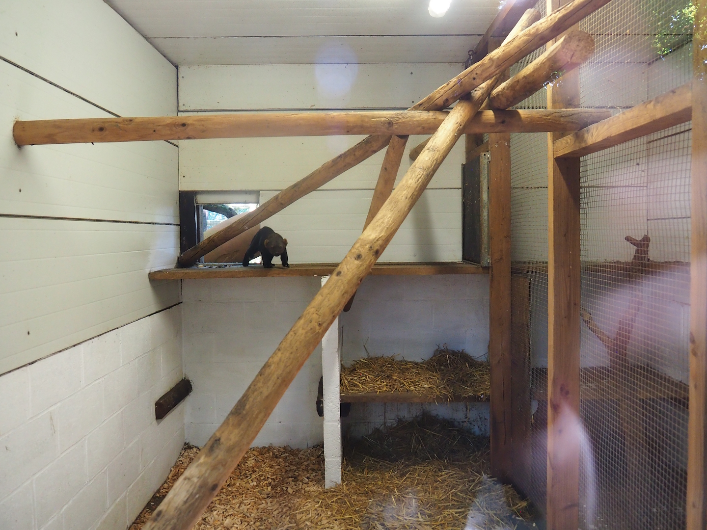 Tayra indoor housing, 2023-06-24