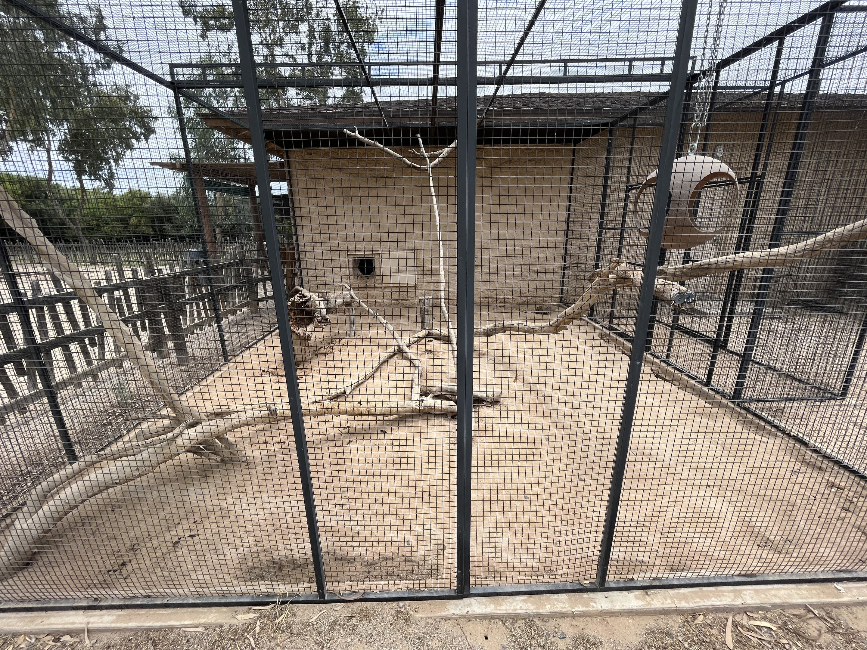 Tayra Outdoor Exhibit