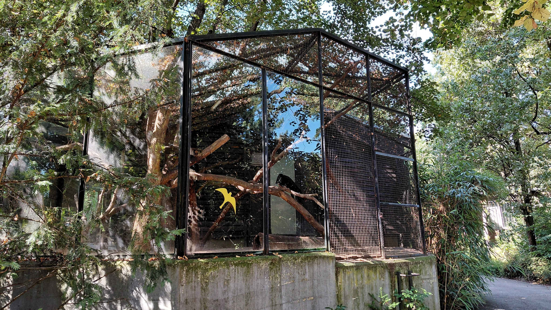 Tayra outdoor exhibit