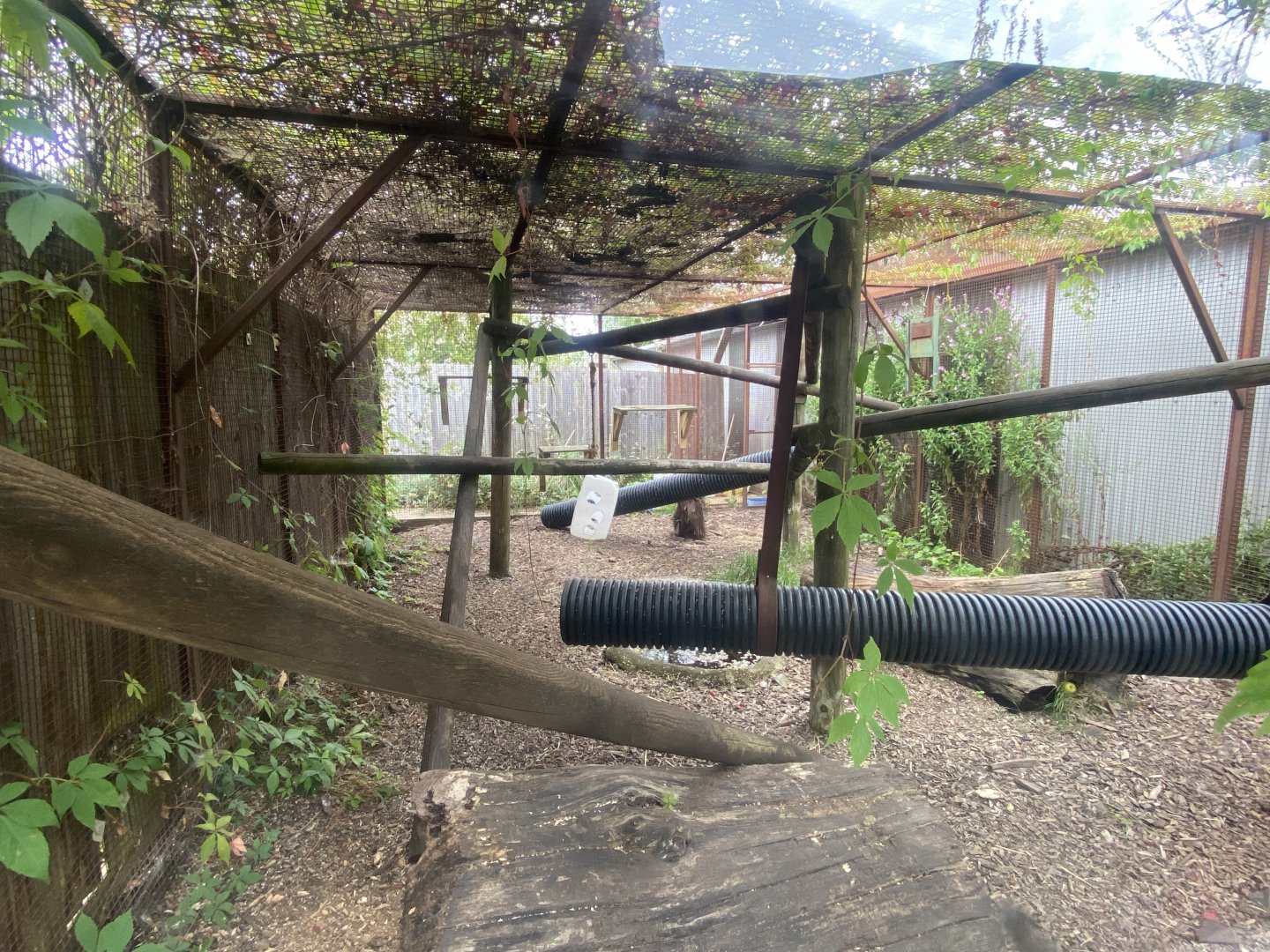 Tayra outdoors 040824