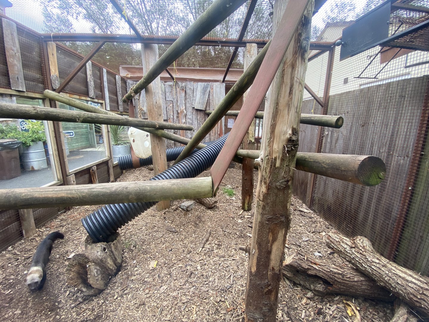 Tayra outdoors 040824