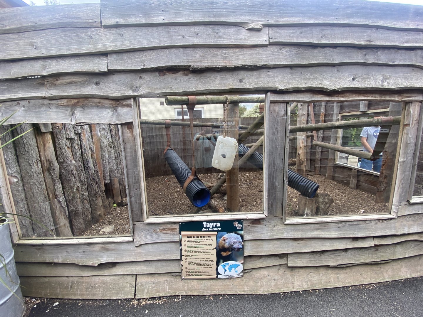 Tayra outdoors 040824