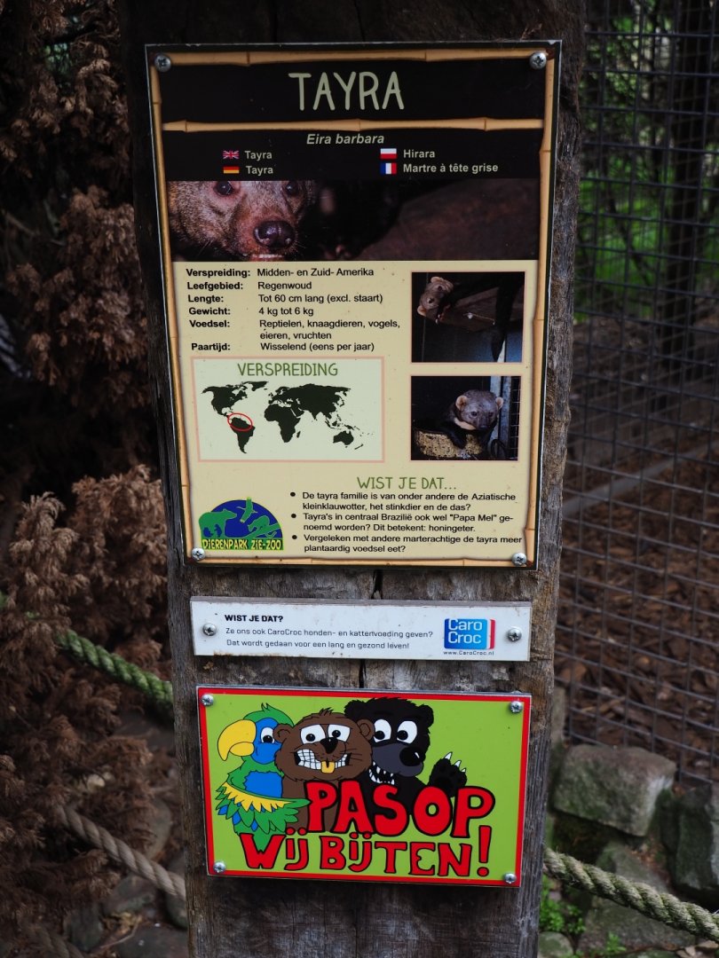 Tayra signage, 2019-04-06