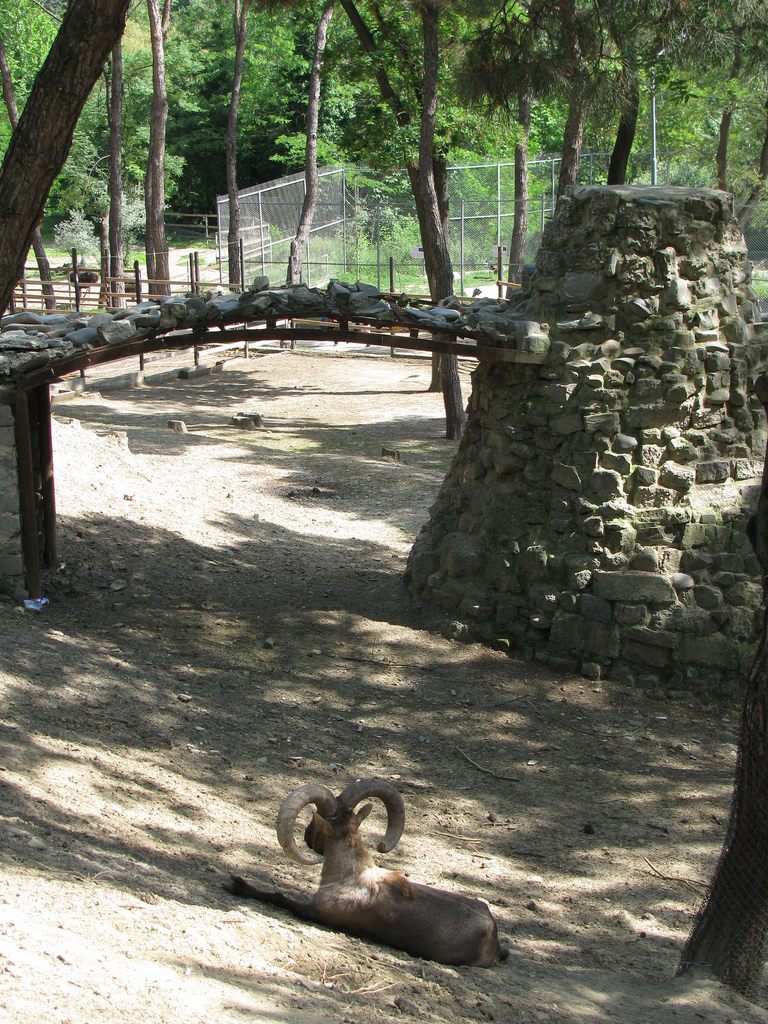 Tbilisi Zoo