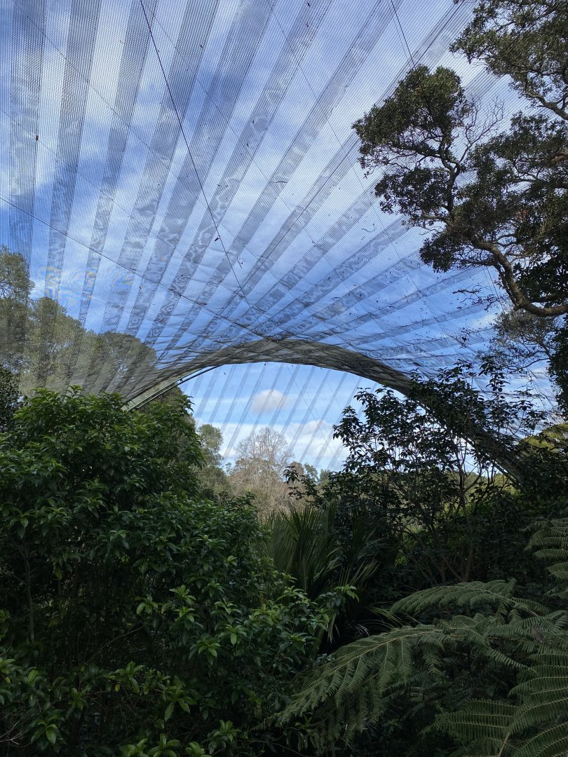 Te Wao Nui Forest Aviary