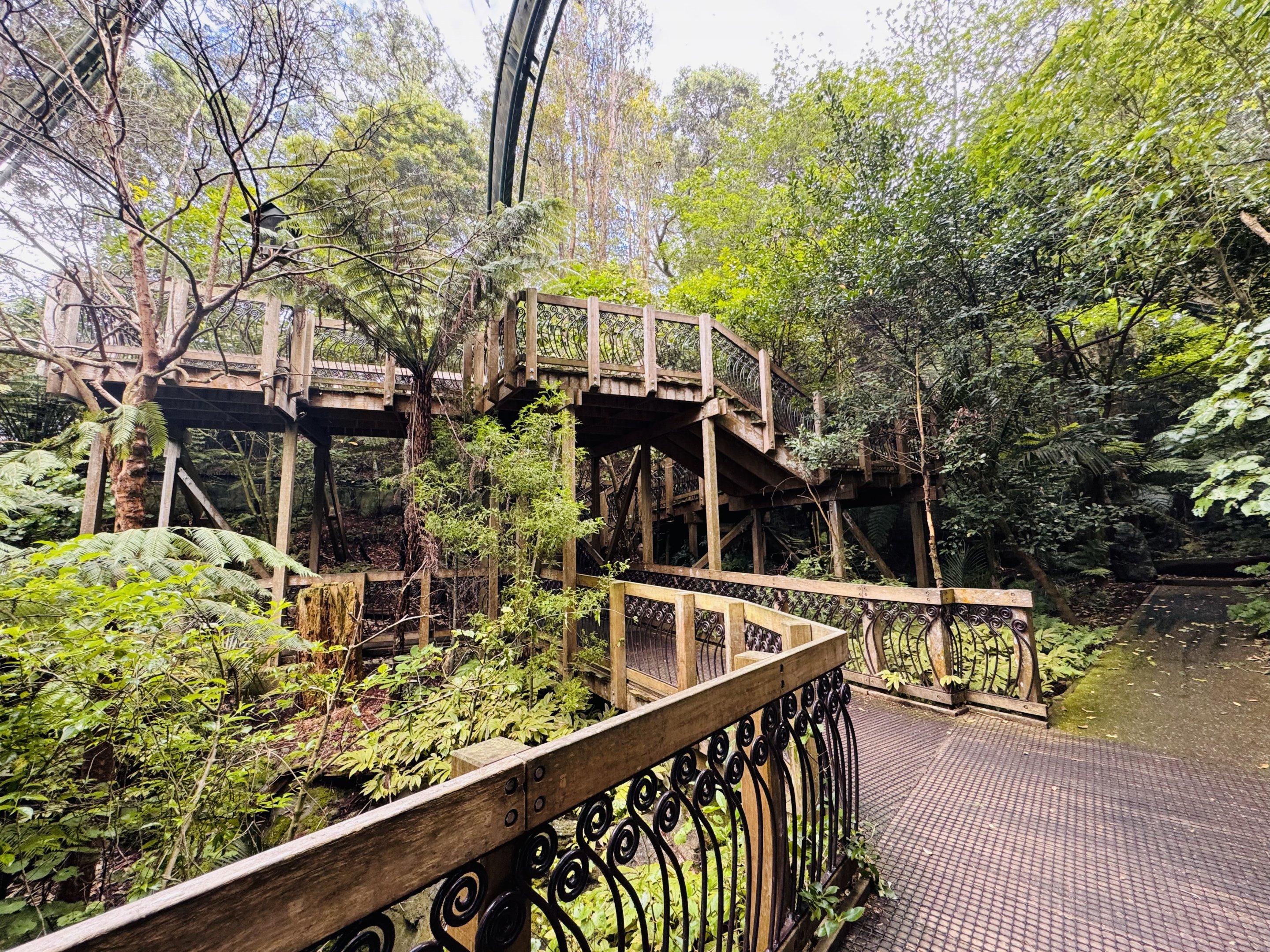 Te Wao Nui - Forest aviary