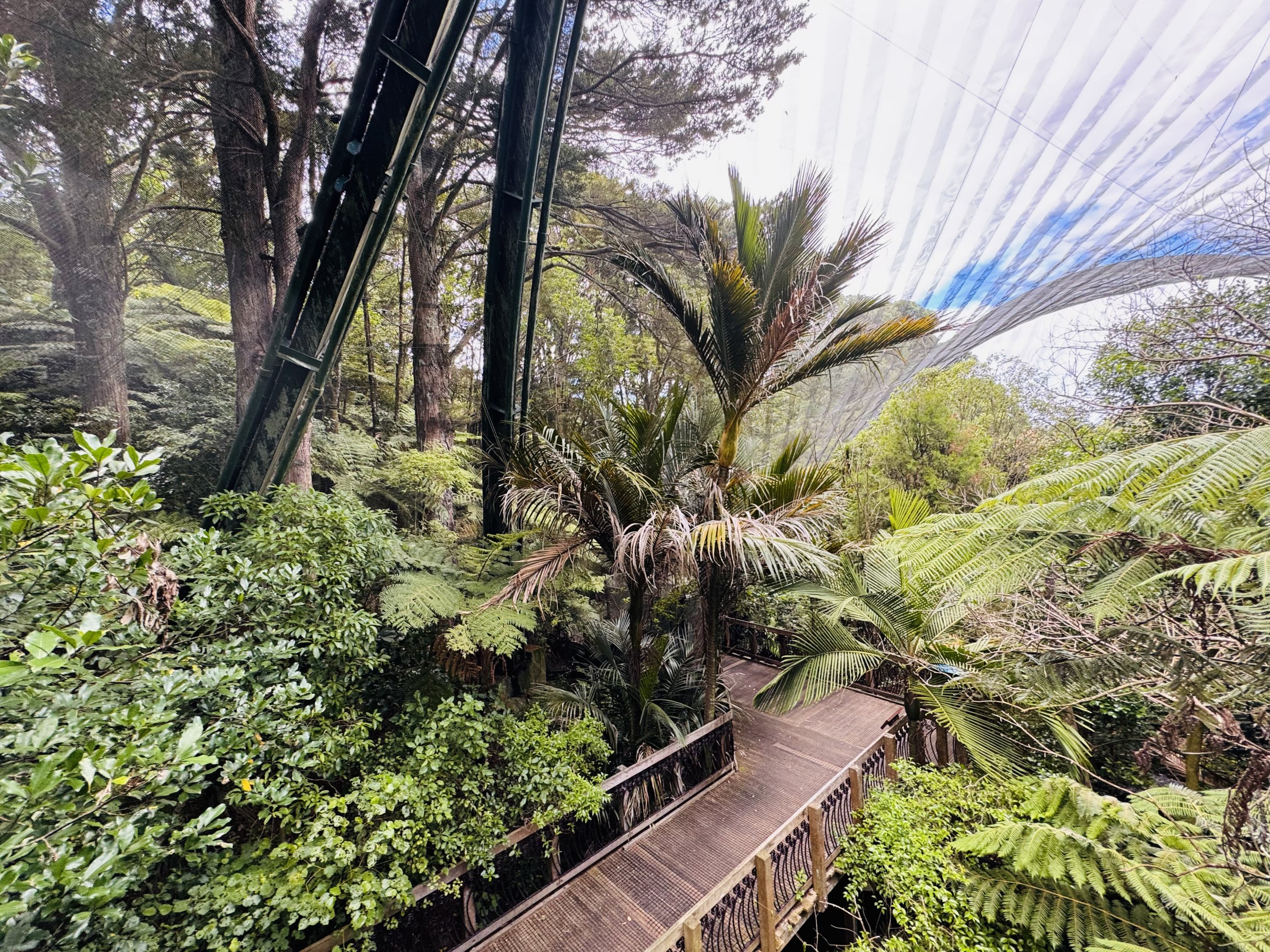 Te Wao Nui - Forest aviary