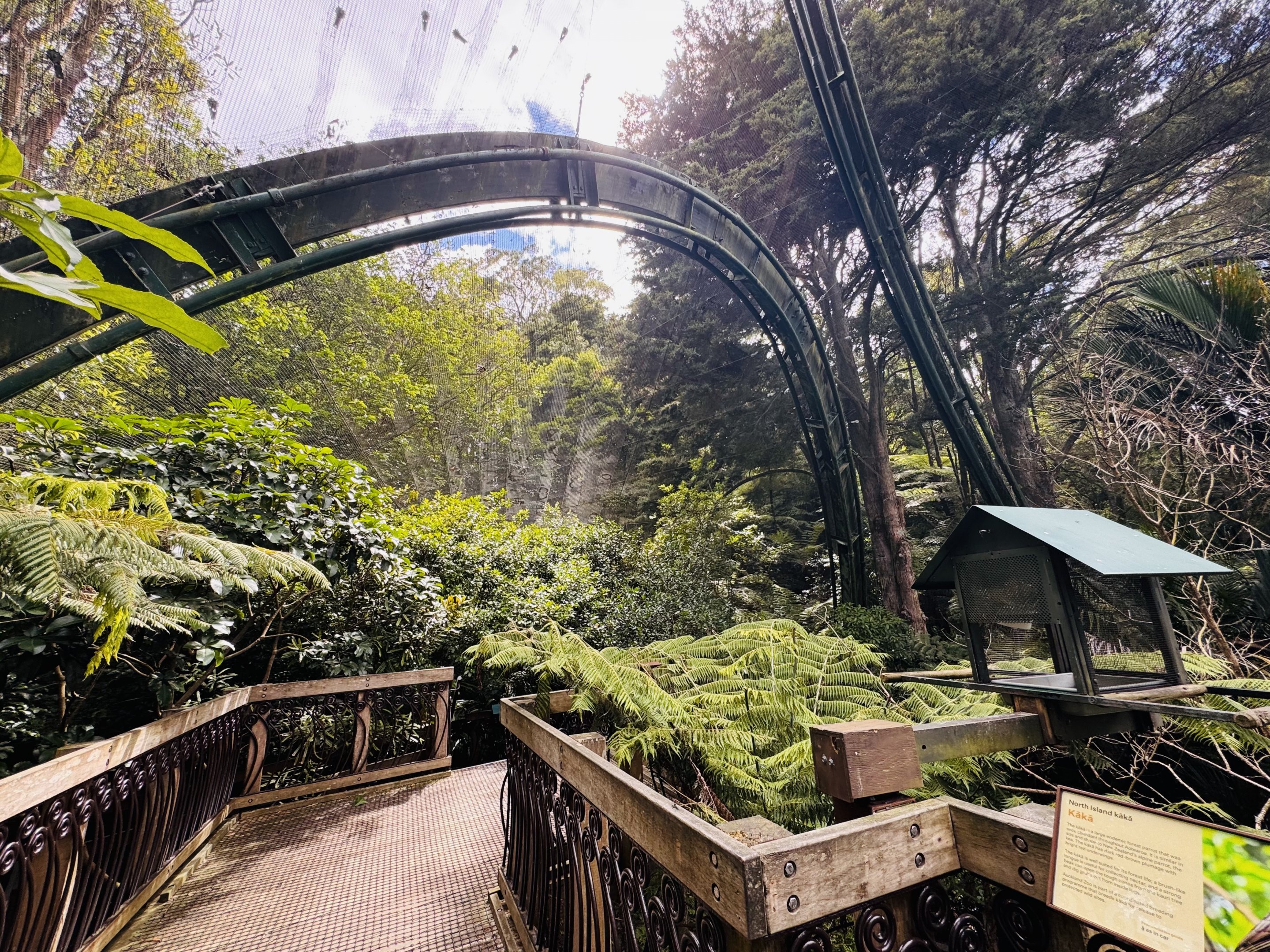 Te Wao Nui - Forest aviary