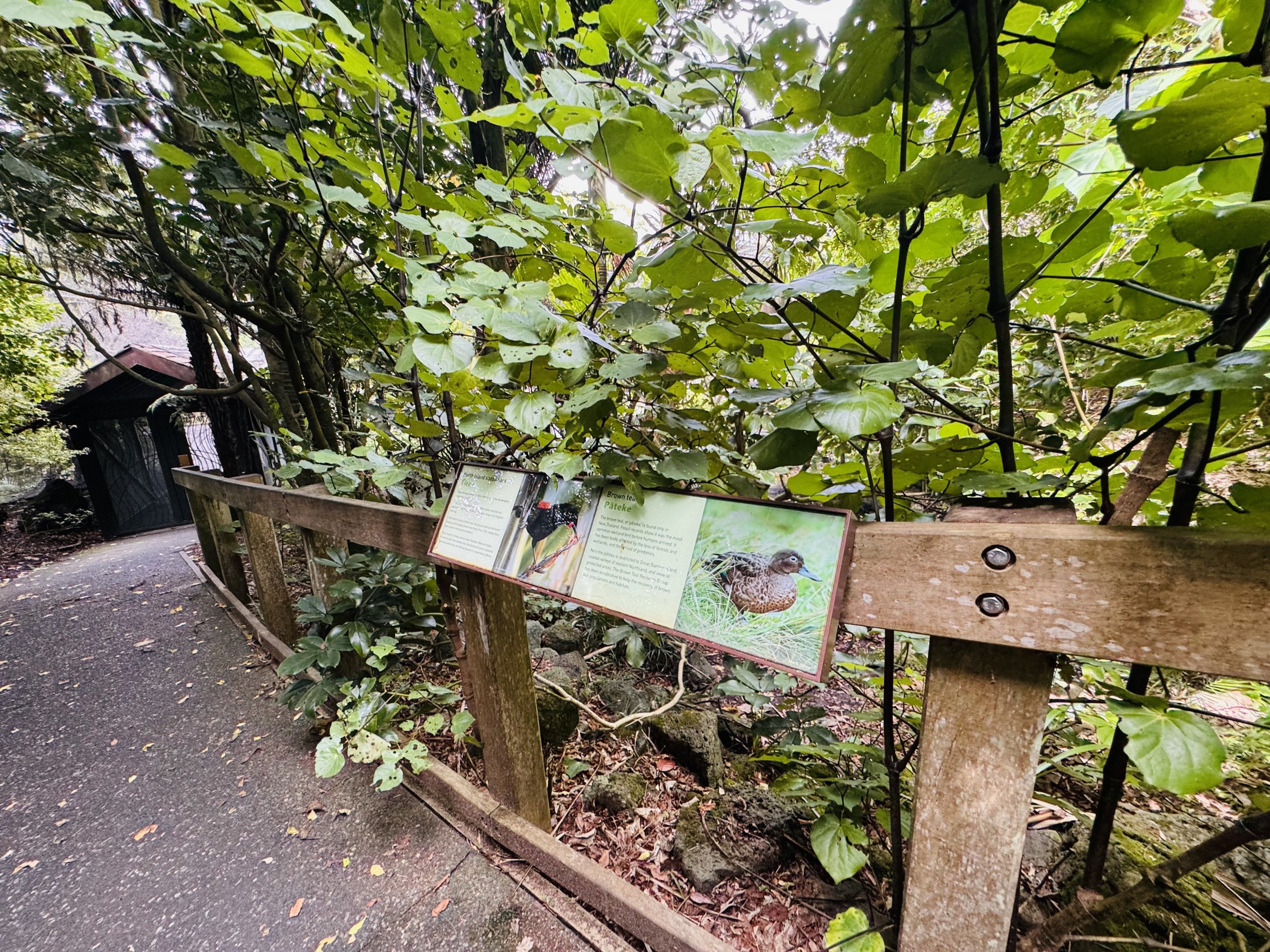 Te Wao Nui - Forest aviary