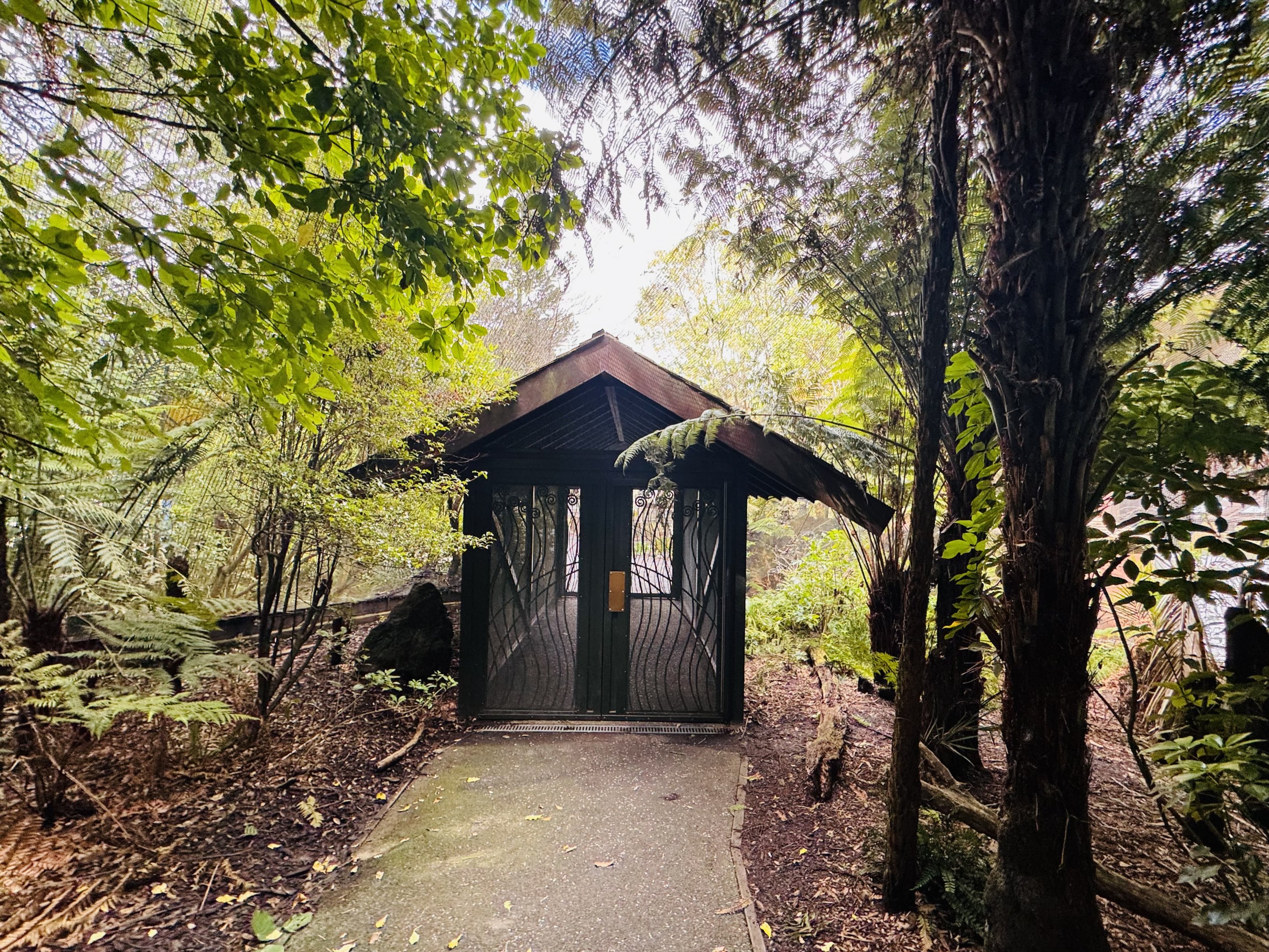 Te Wao Nui - Forest aviary