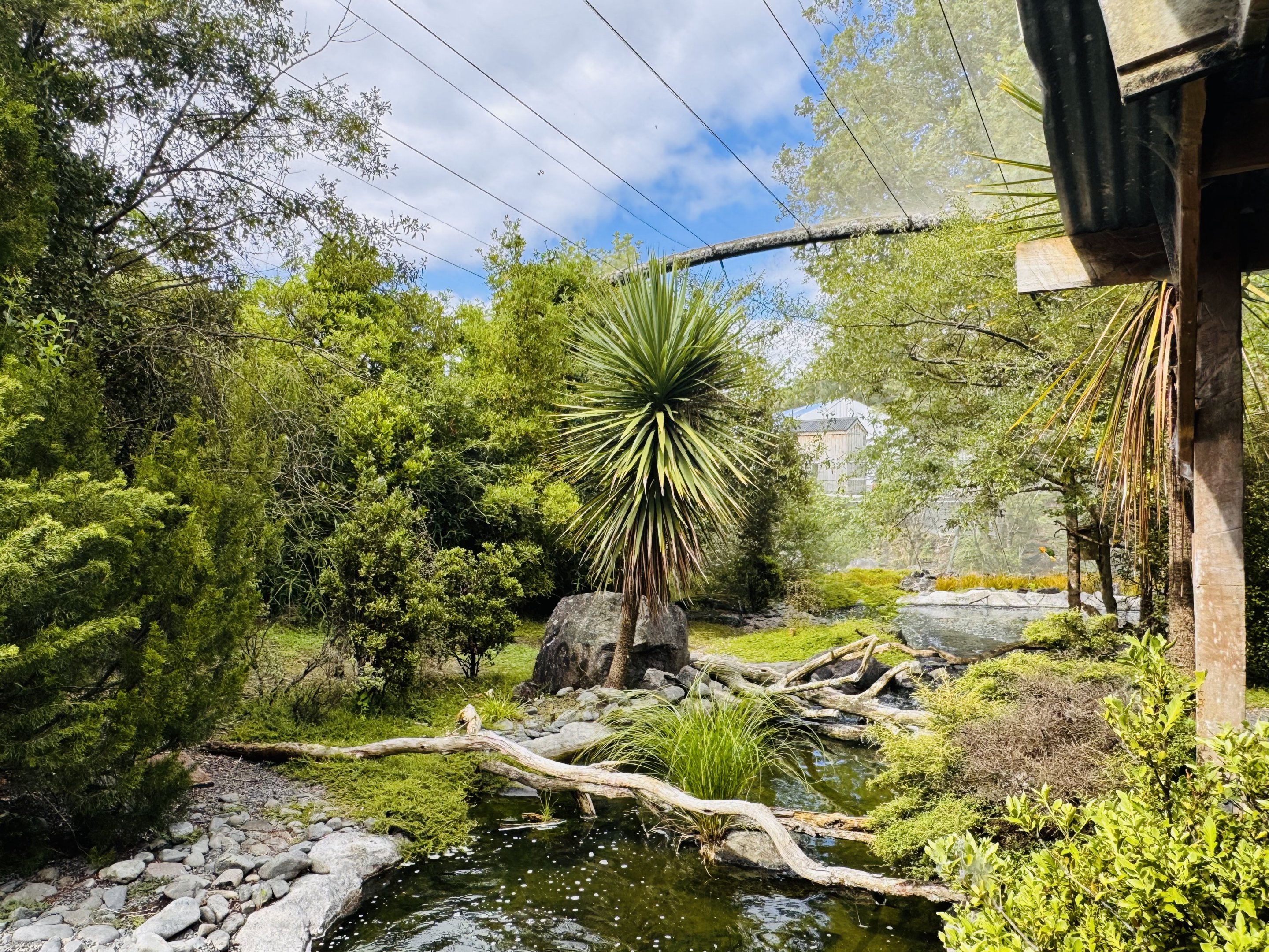 Te Wao Nui - High country aviary