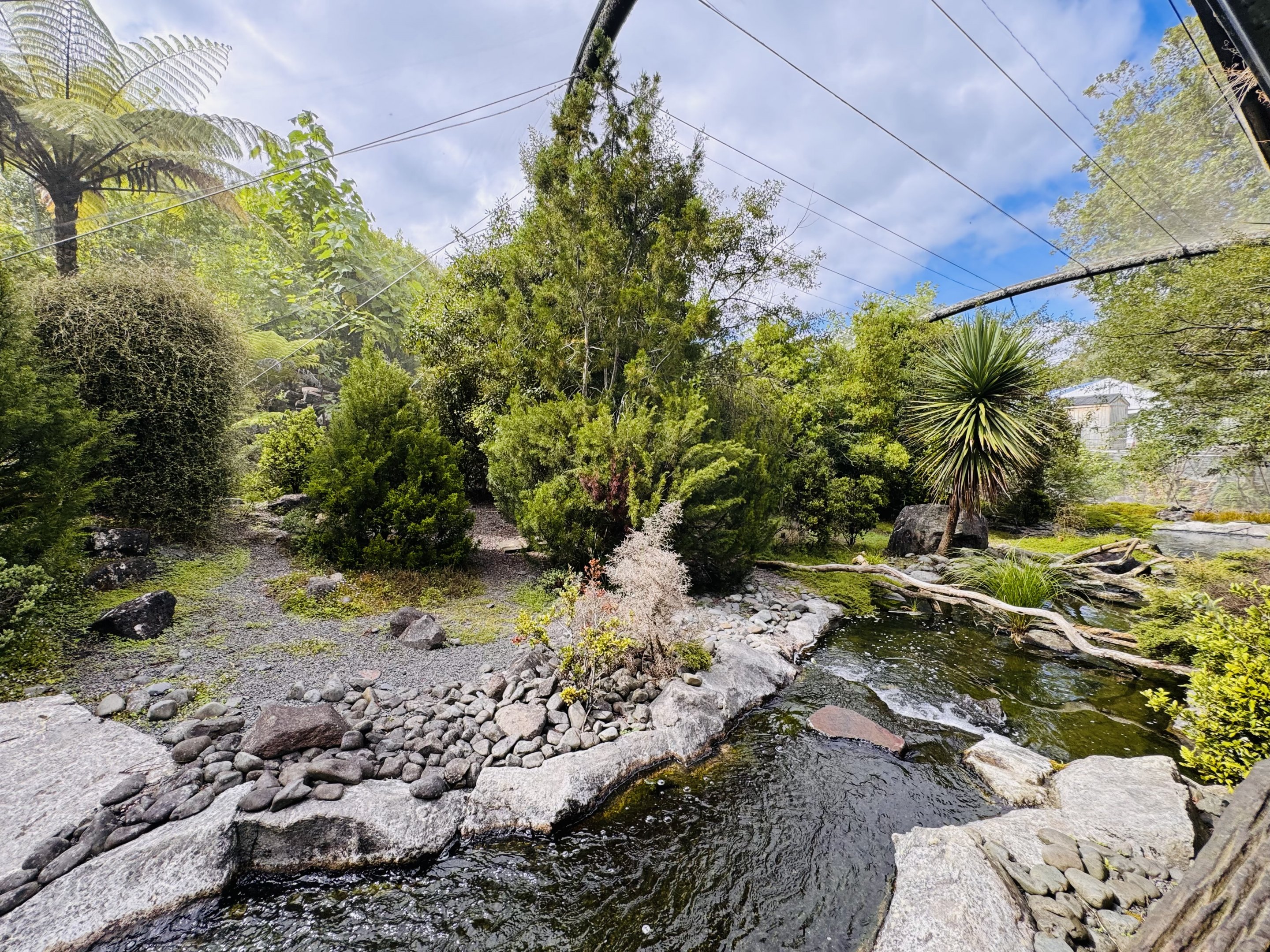 Te Wao Nui - High country aviary