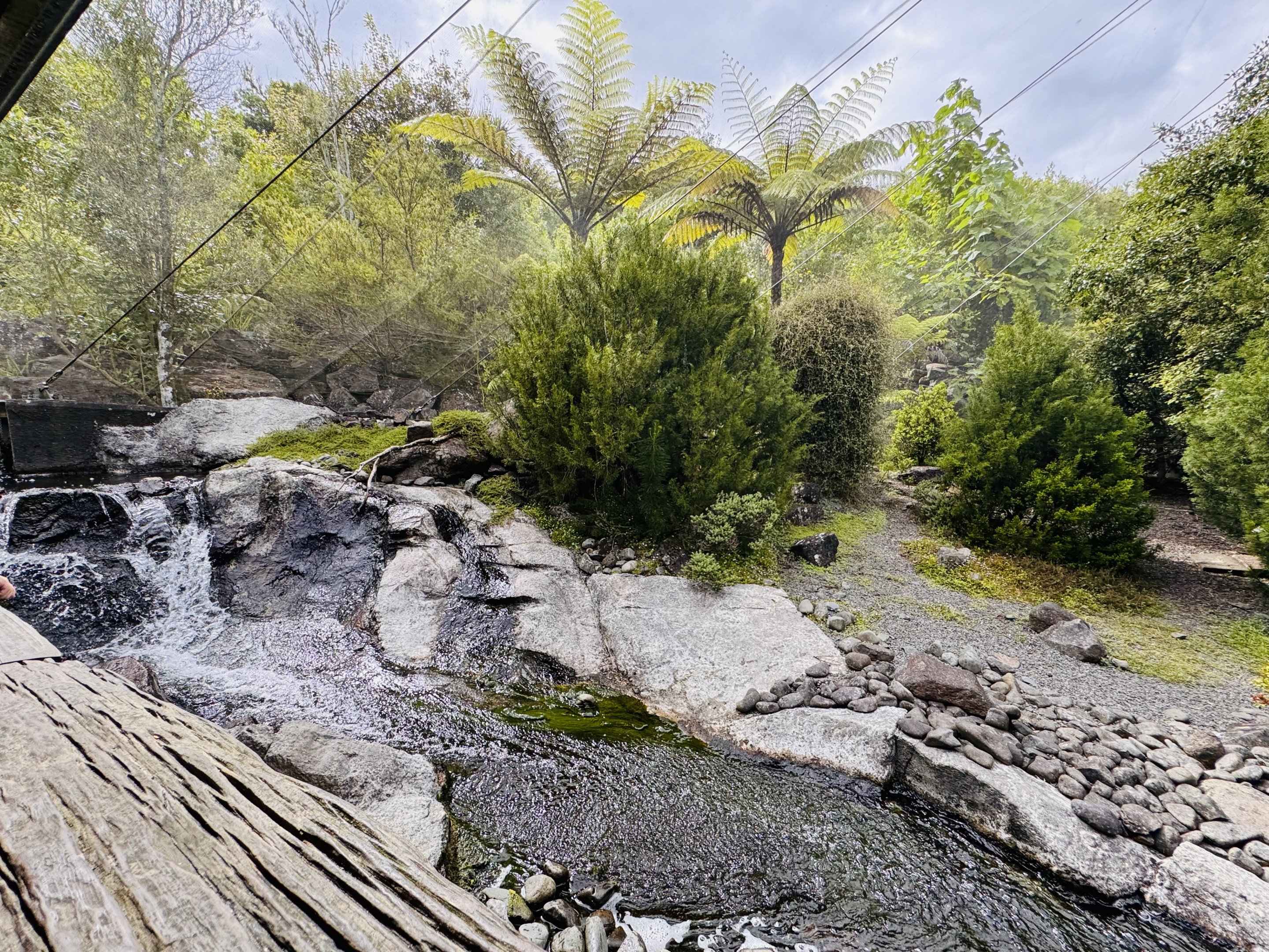 Te Wao Nui - High country aviary