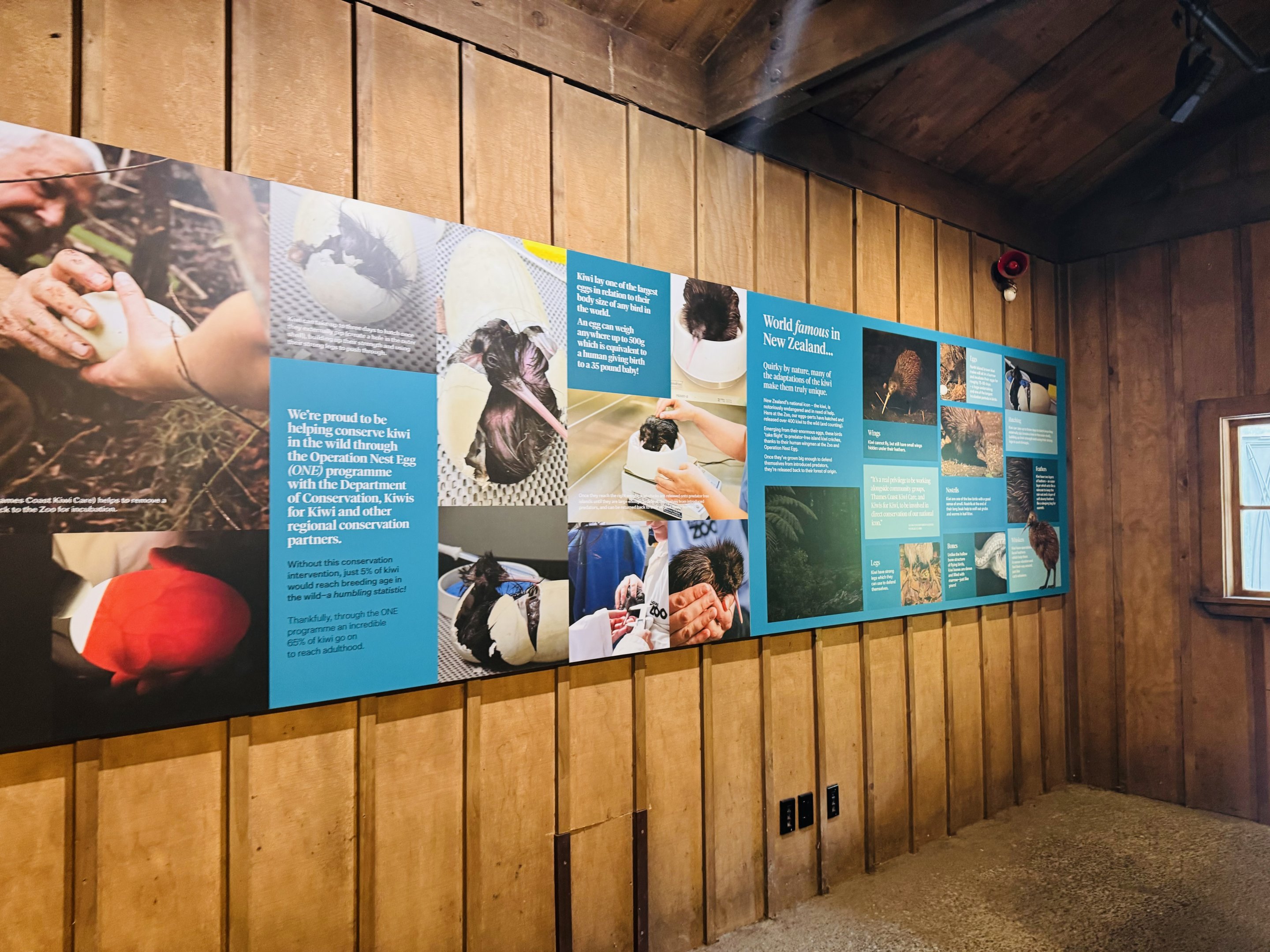 Te Wao Nui - Kiwi signage