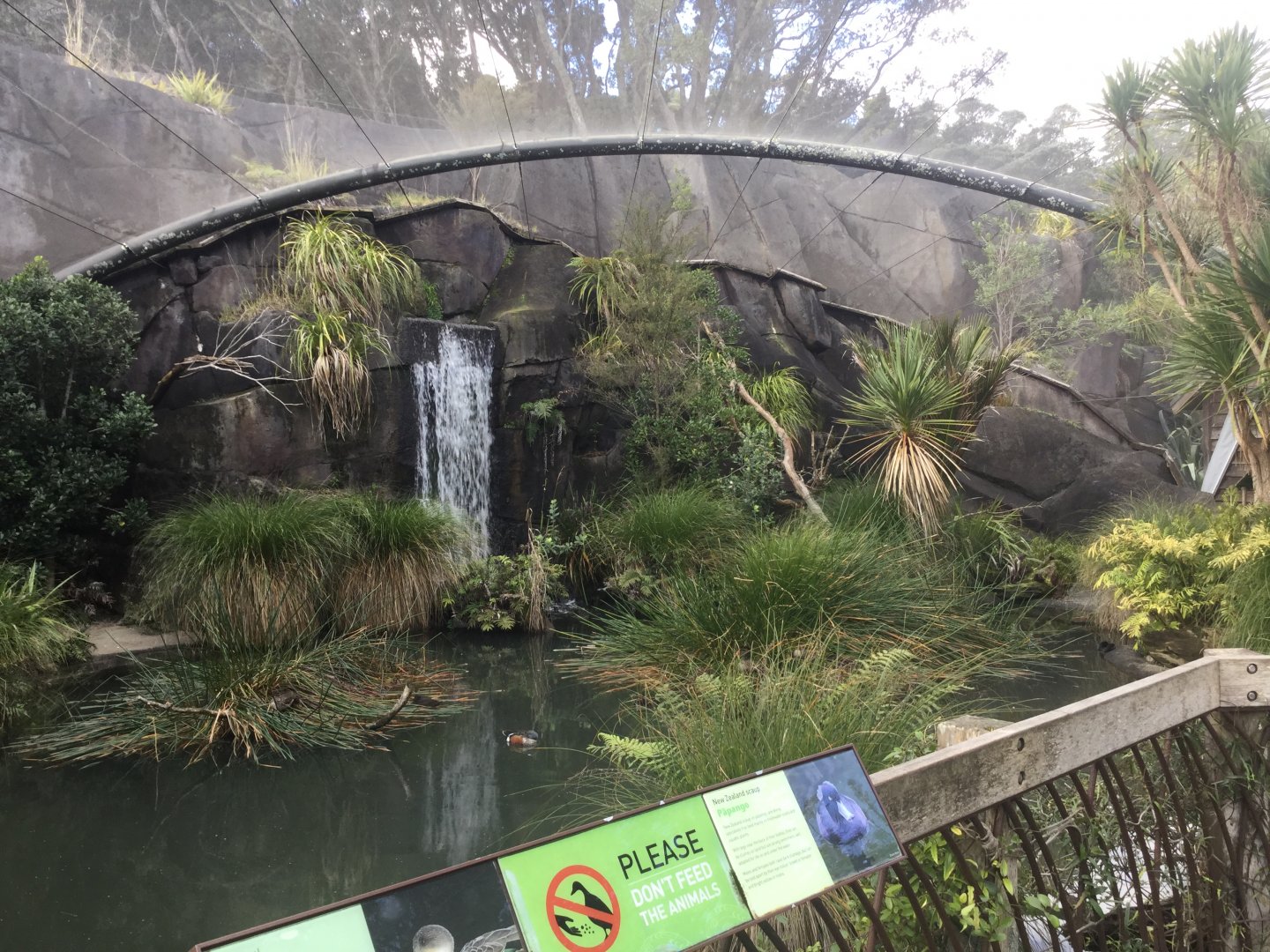 Te Wao Nui - The Wetlands