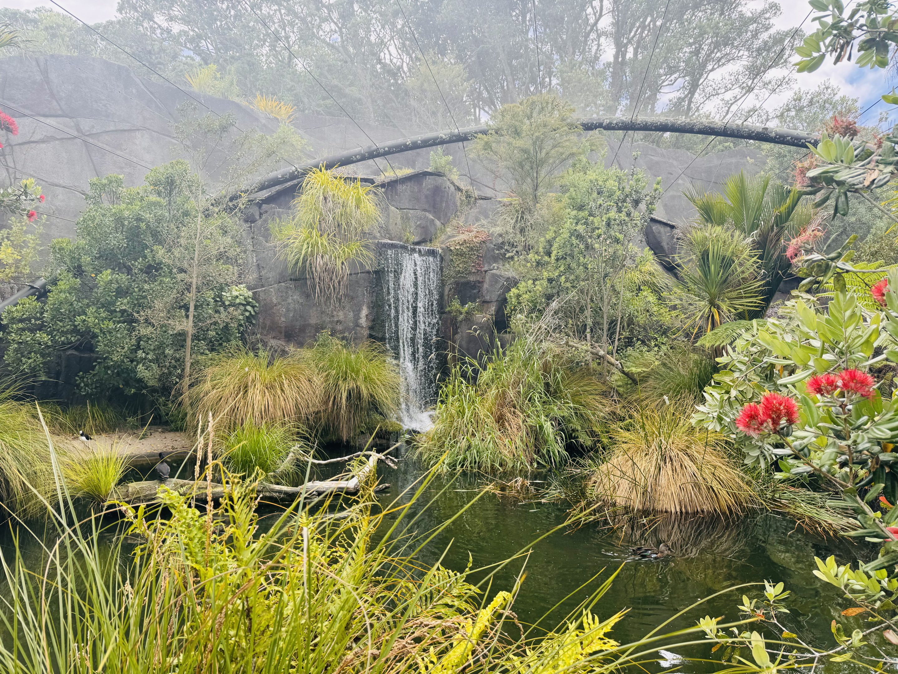Te Wao Nui - Wetlands Aviary
