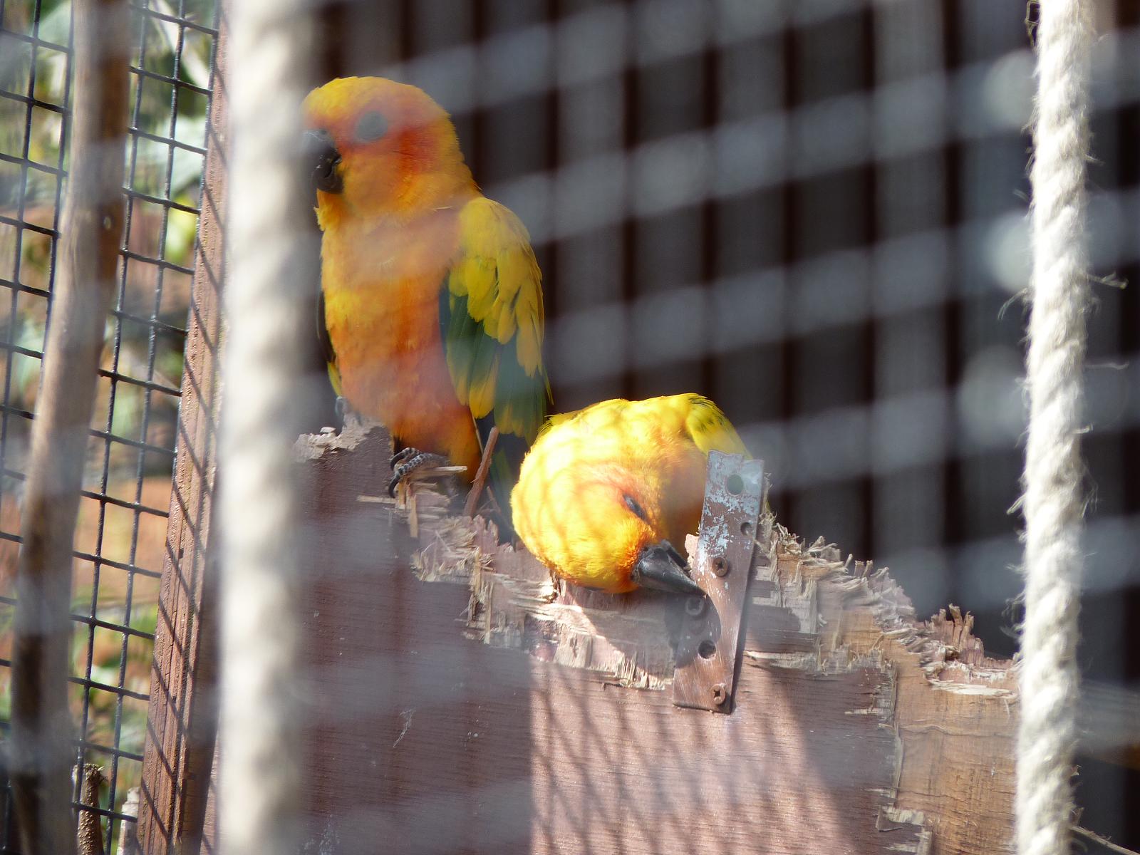 Tearing the House Down, Literally