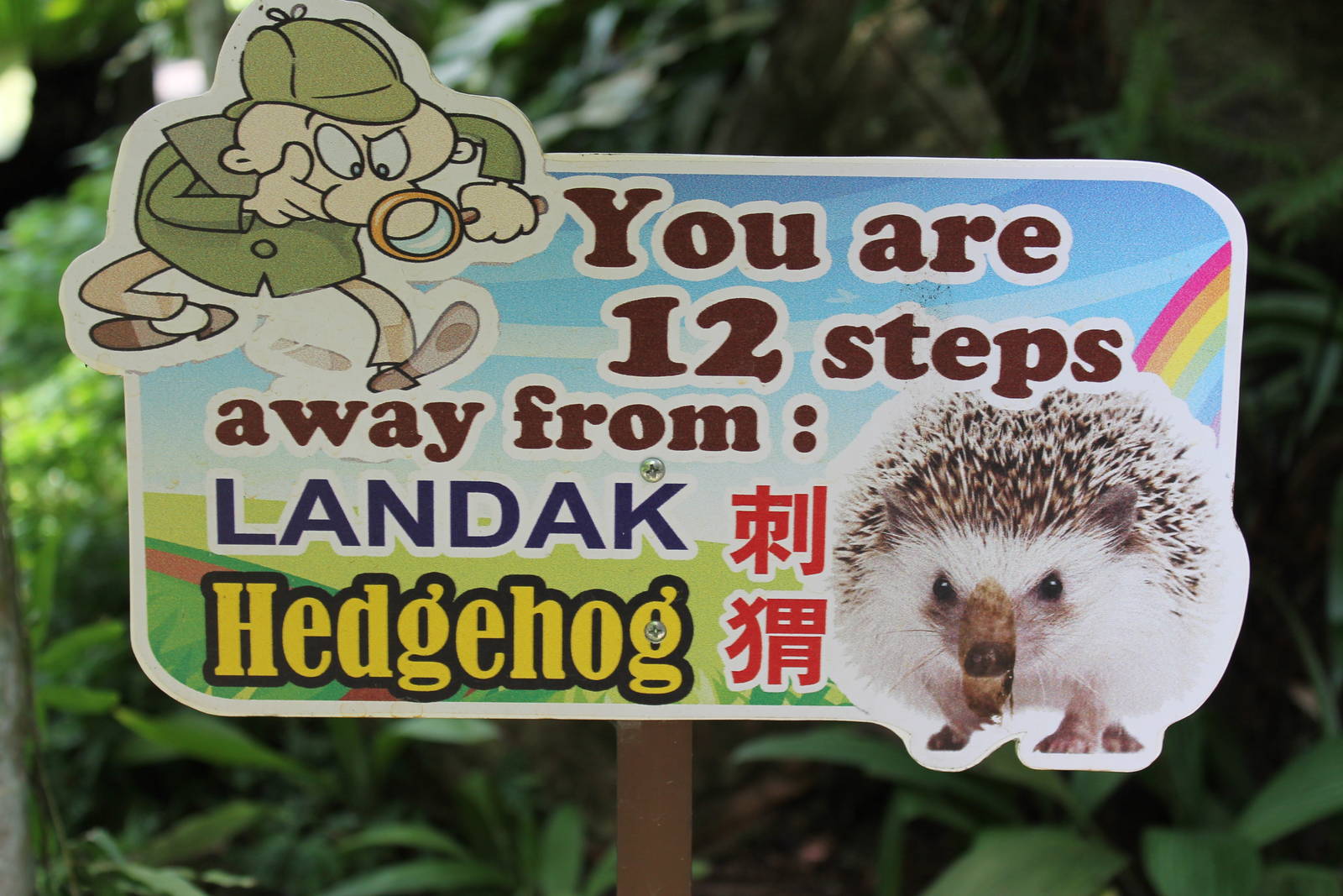 teaser hedgehog sign