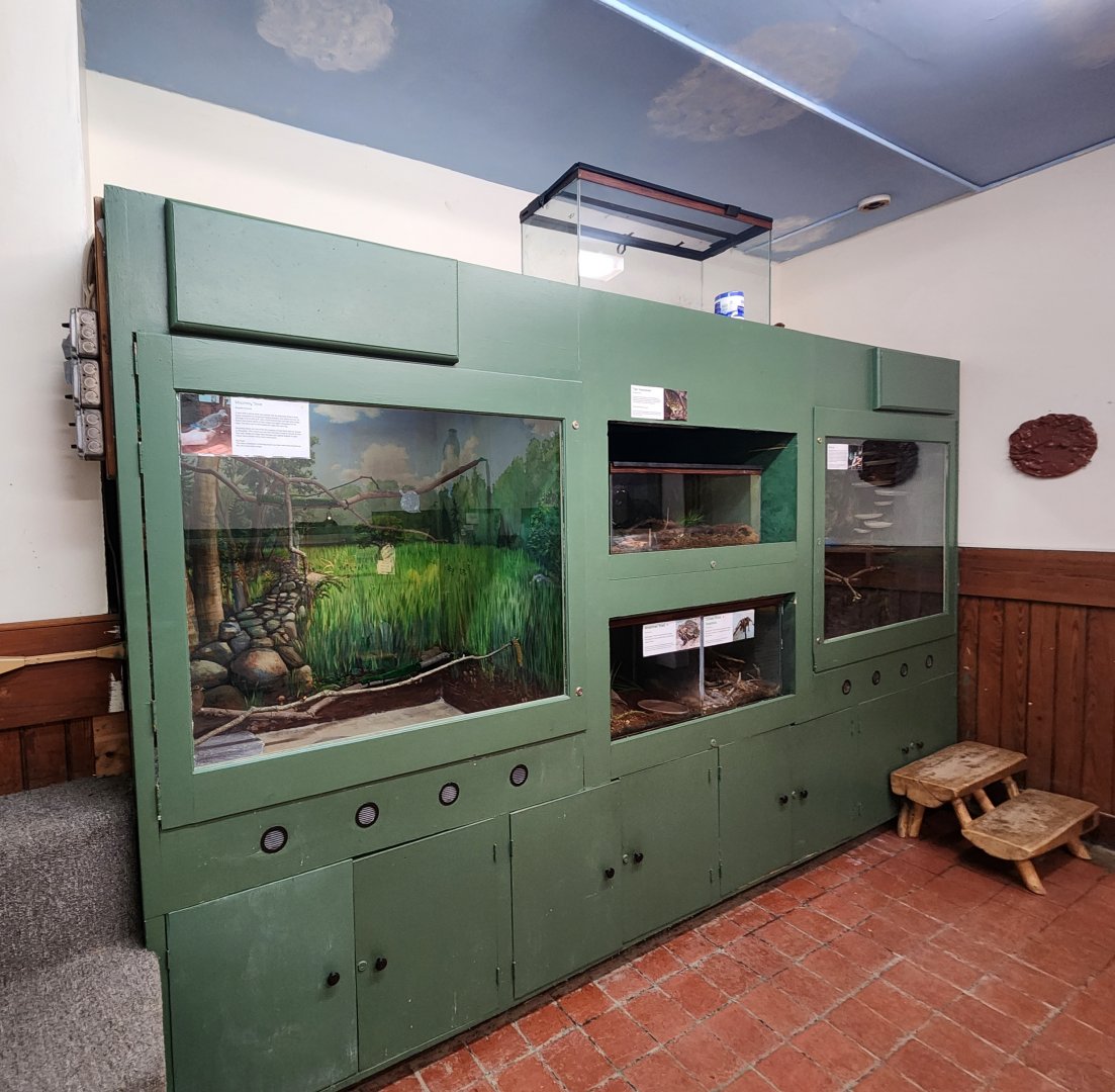 Teatown Lake Reservation - Small bird and herp exhibits